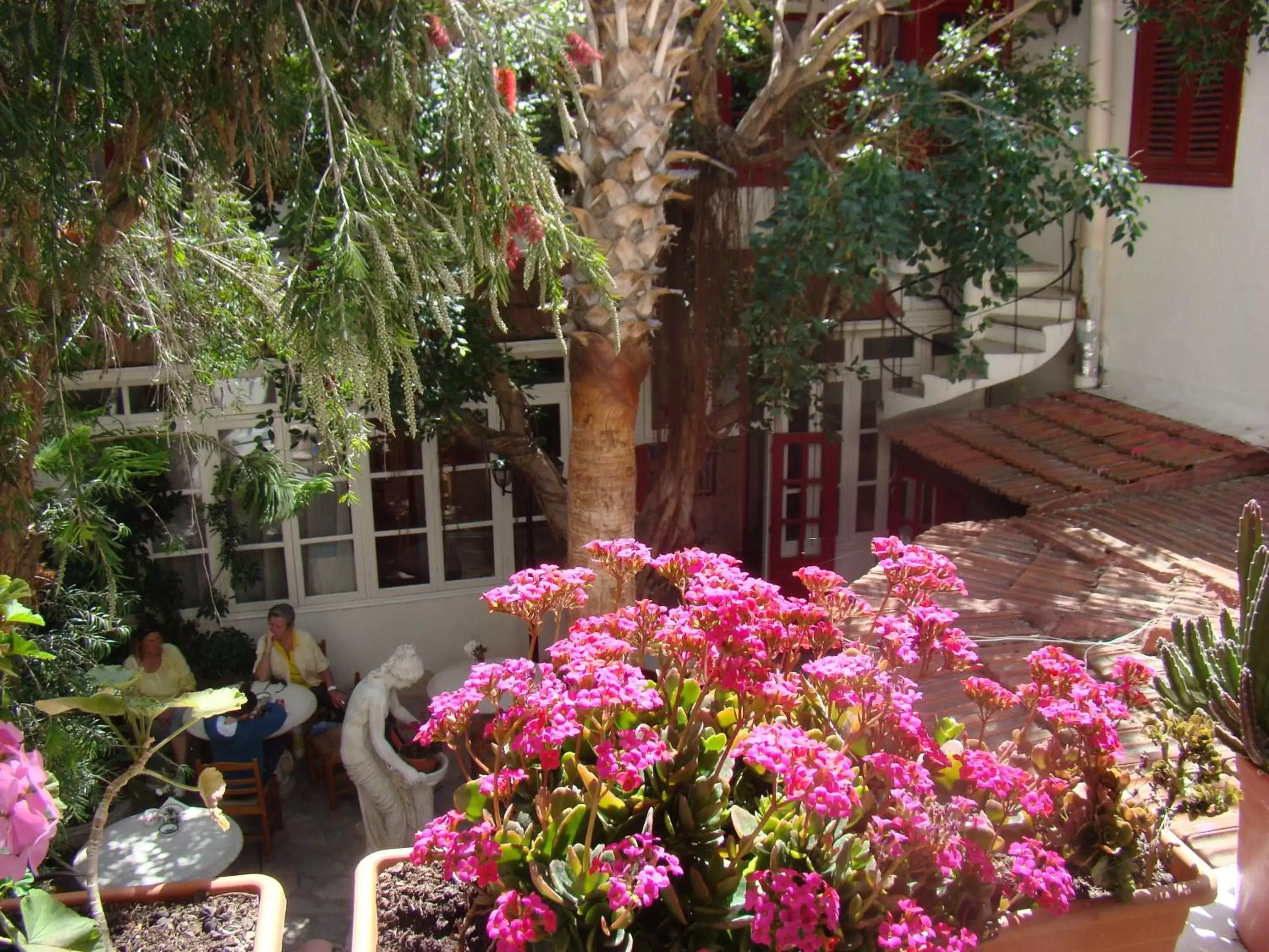 Garden in Kiniras Traditional Hotel & Restaurant