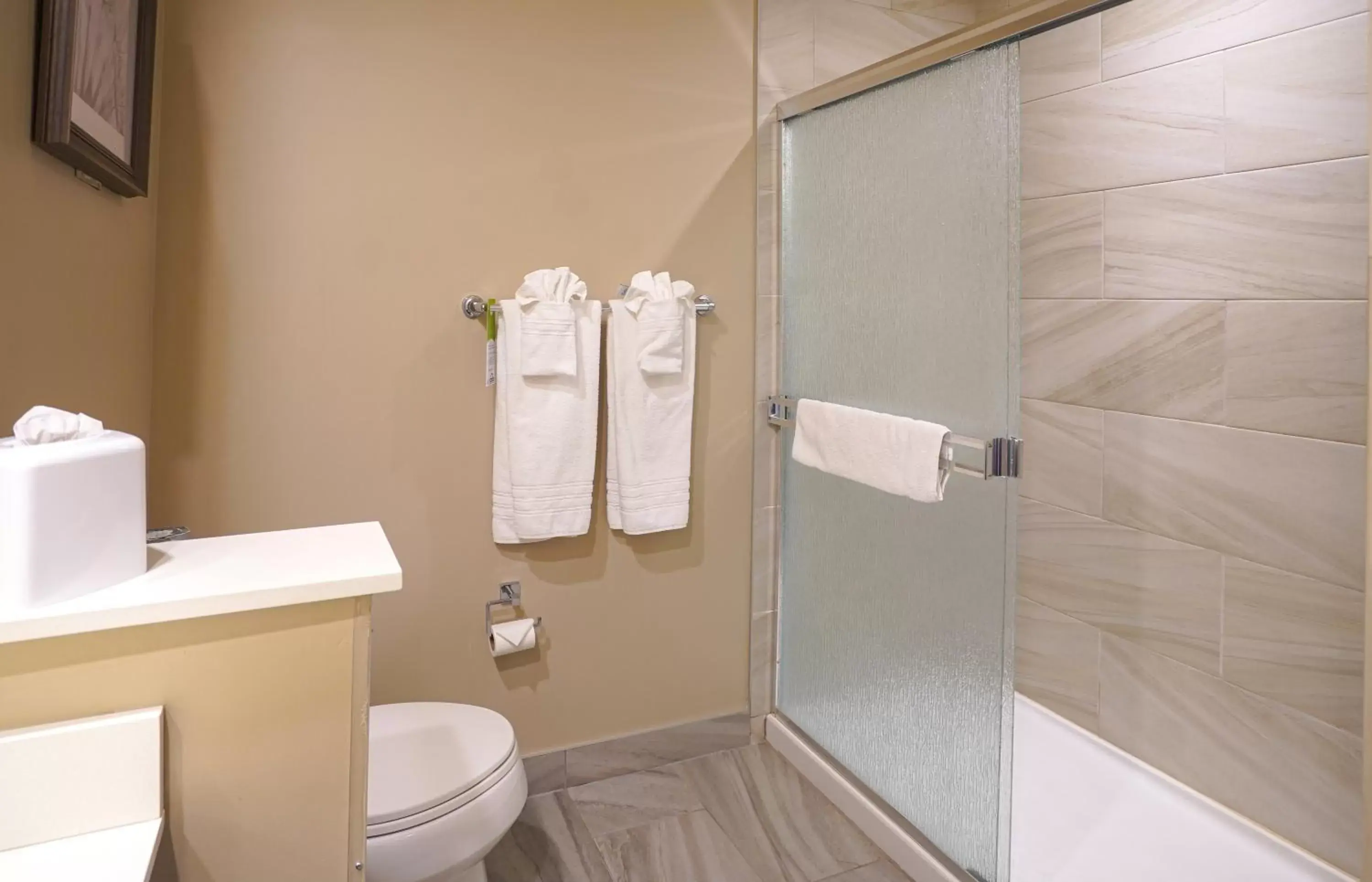 Bathroom in Airdrie Inn and Suites