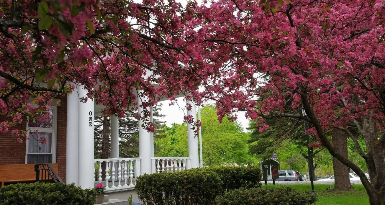 Property building in Inn at the Agora