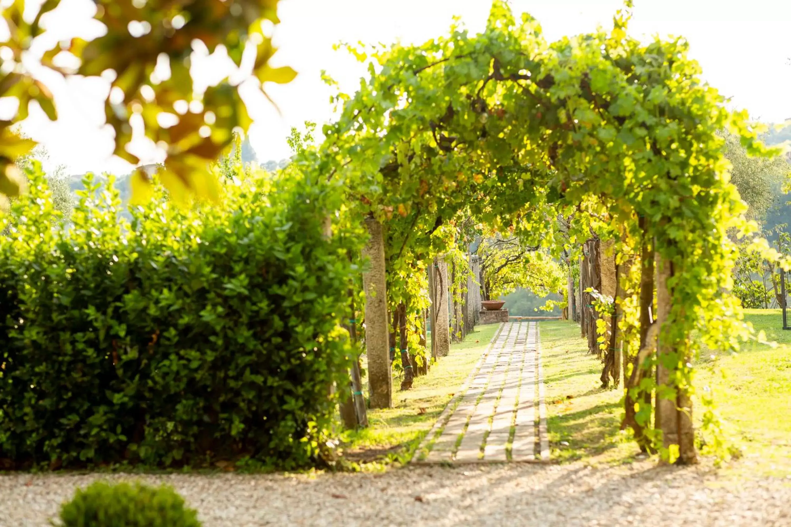 Garden in Hotel Certosa Di Maggiano