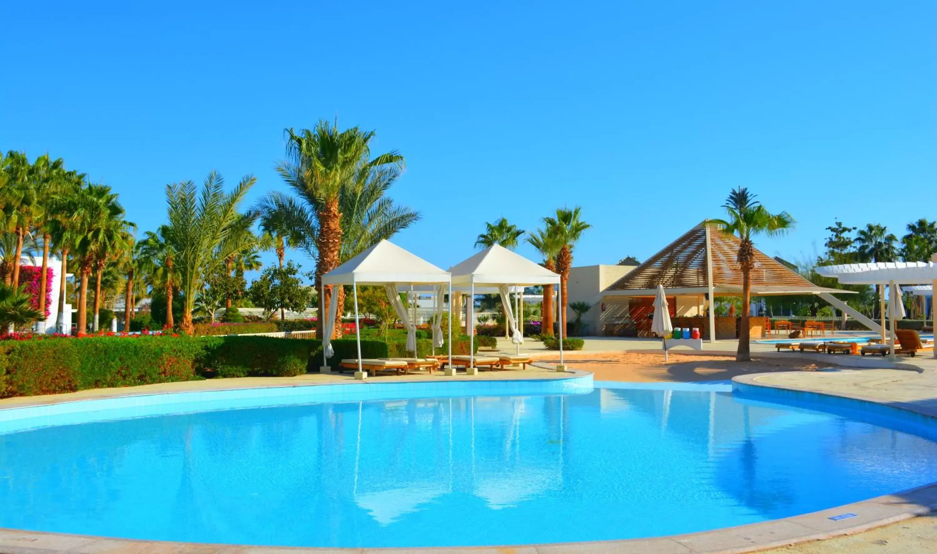 Pool view, Swimming Pool in Monte Carlo Sharm Resort & Spa