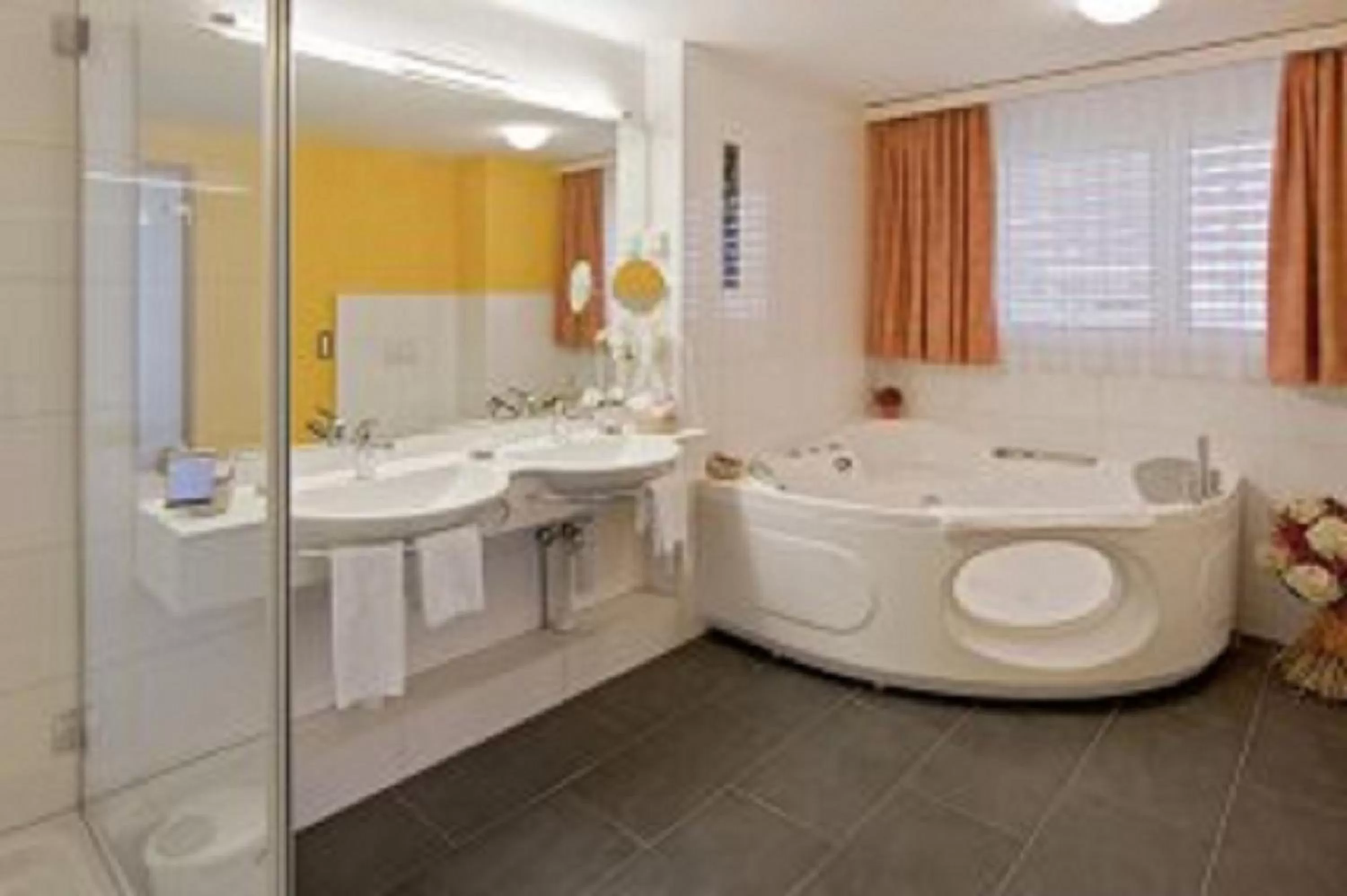 Decorative detail, Bathroom in Hotel Alex Business & SPA