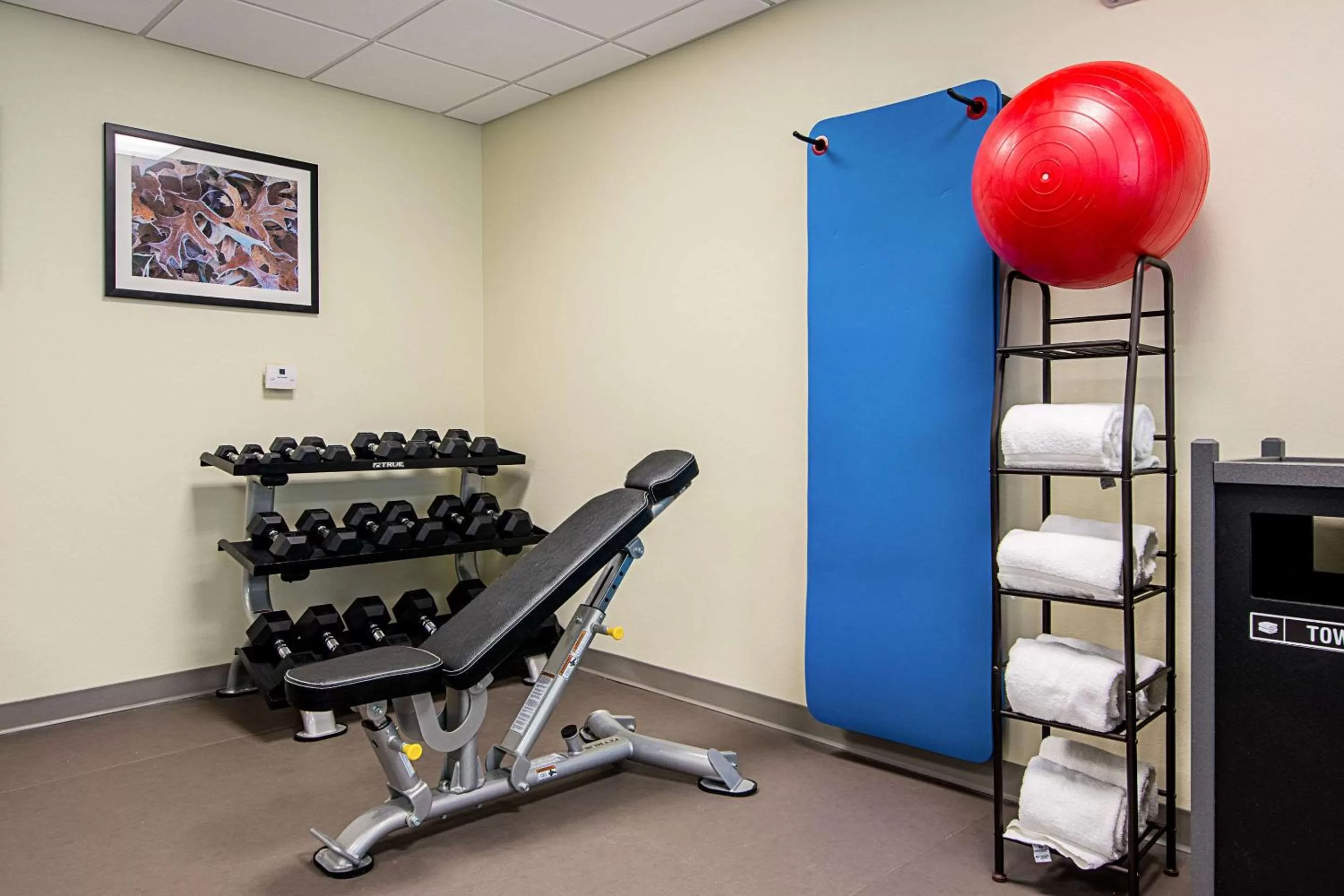 Fitness centre/facilities in MainStay Suites Geismar - Gonzales