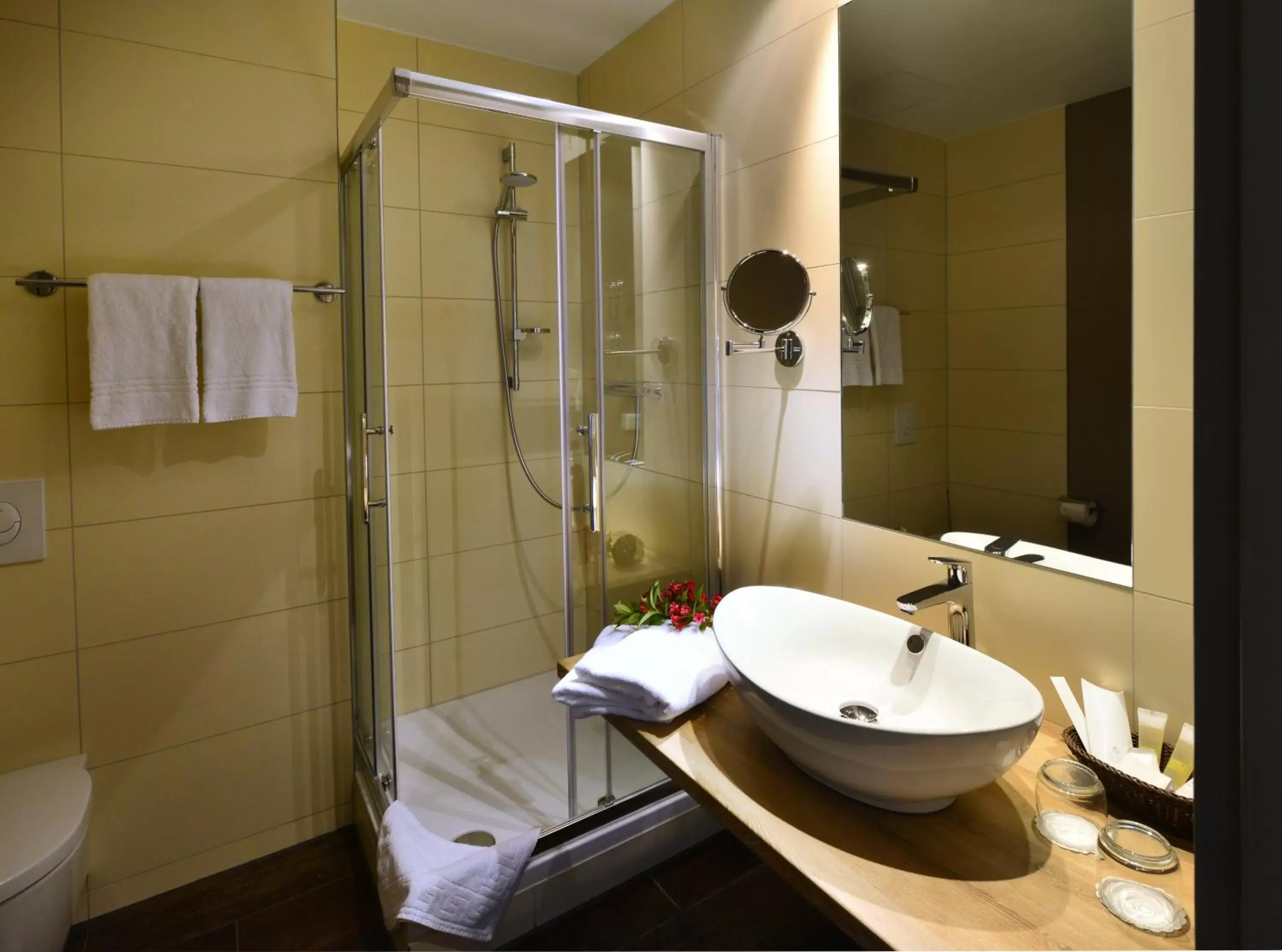 Bathroom in Santé Royale Hotel- & Gesundheitsresort Warmbad Wolkenstein