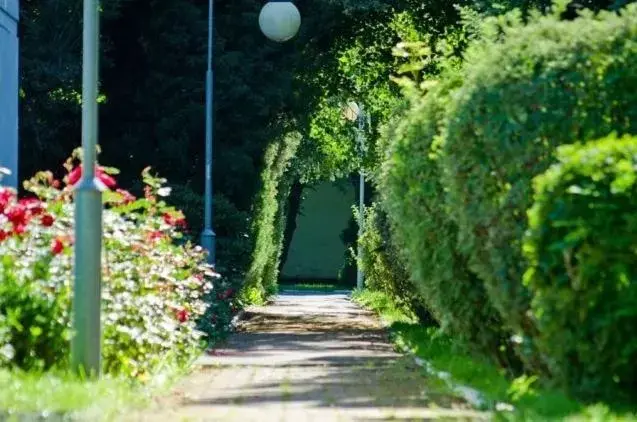 Garden in Hotel Solny