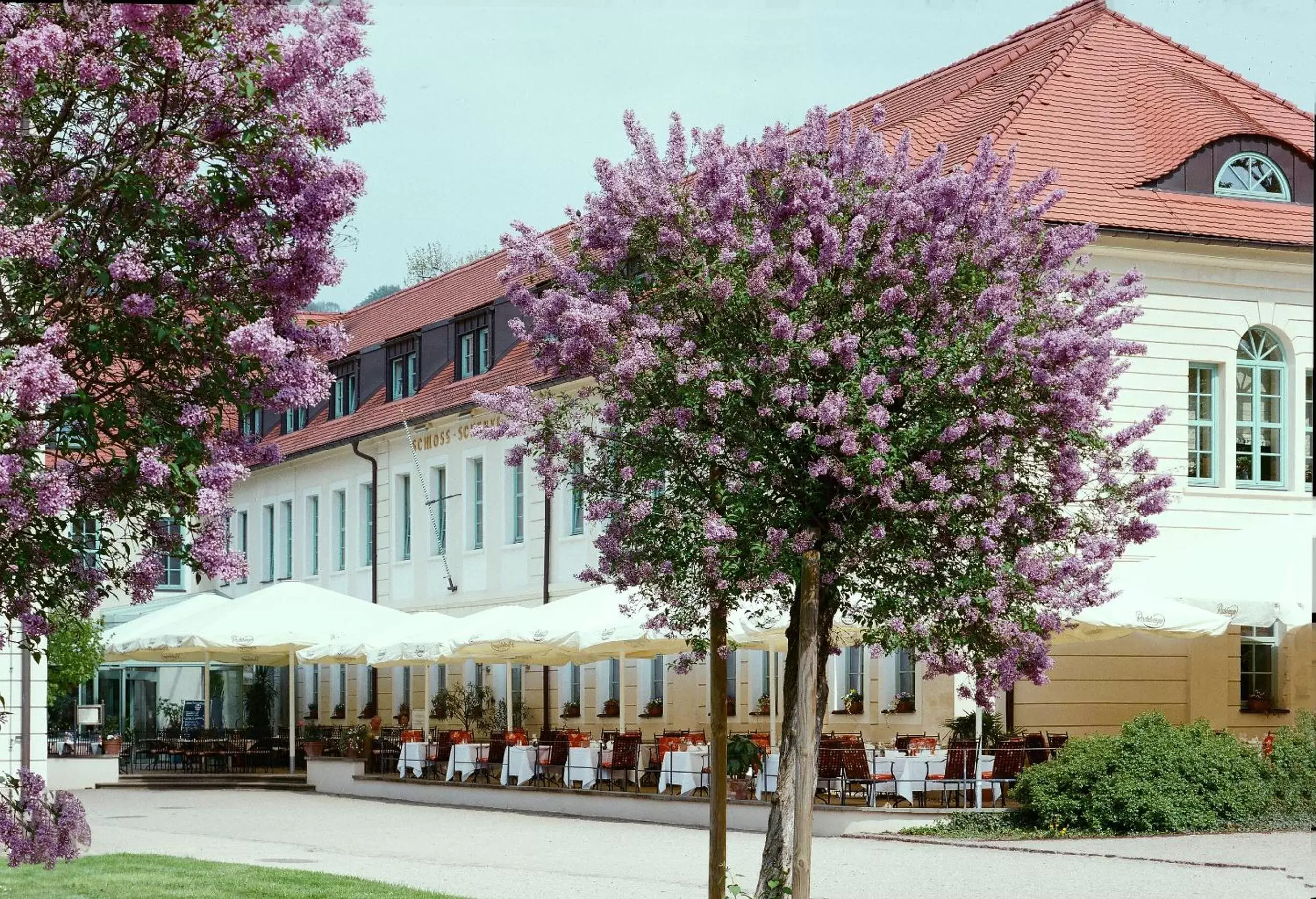 Spring, Property Building in Schloss Hotel Dresden Pillnitz