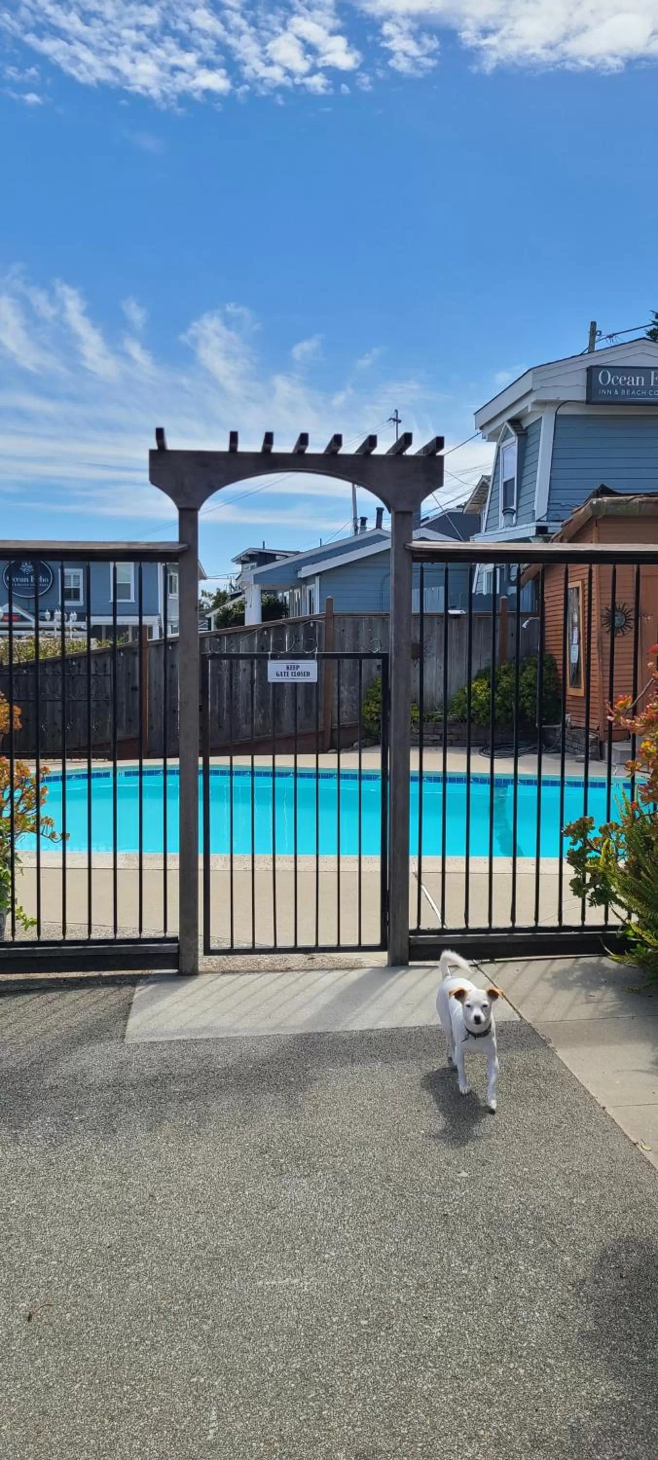 Swimming Pool in Sunny Cove Motel
