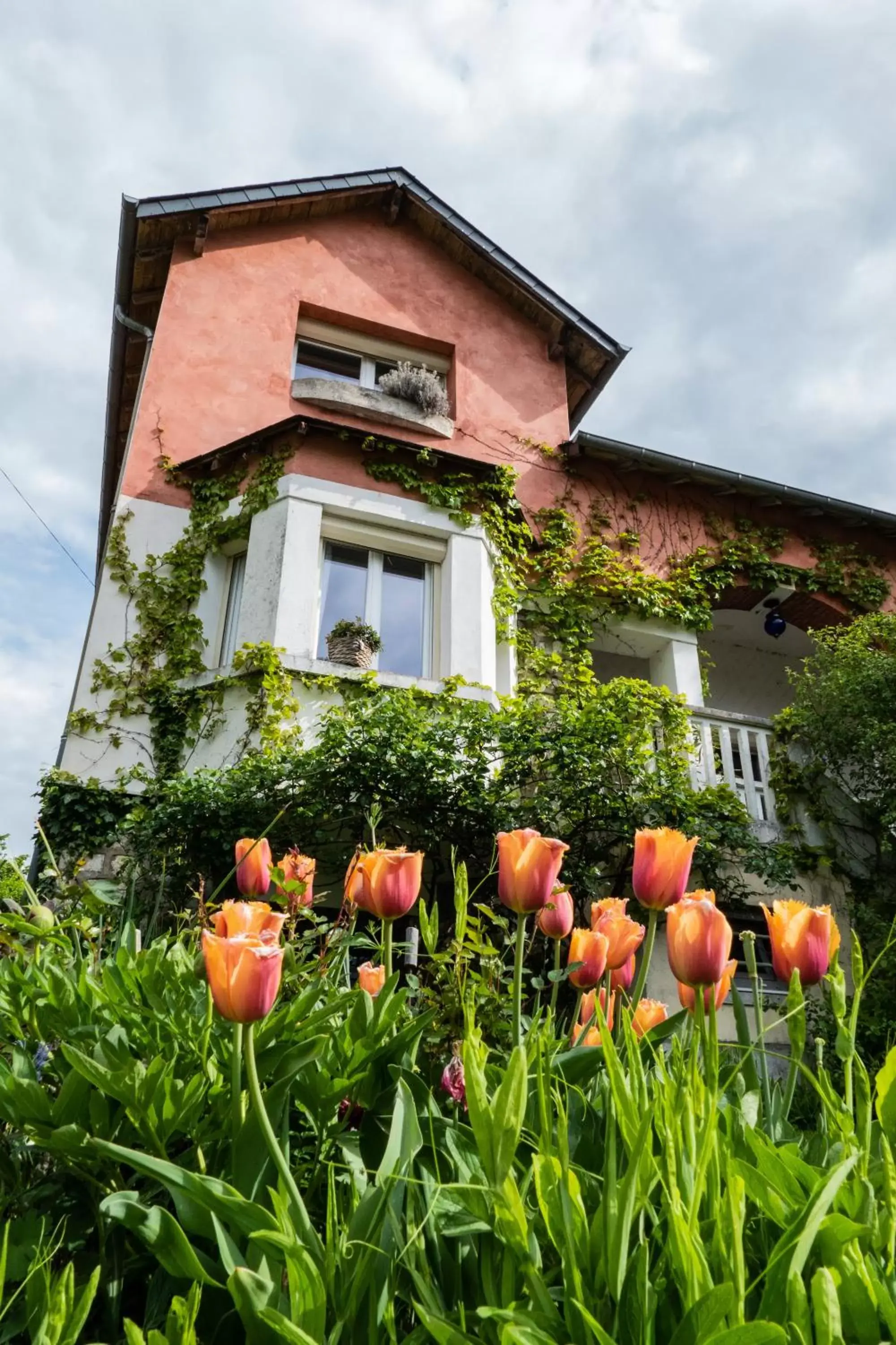 Property Building in l'abri du viaduc