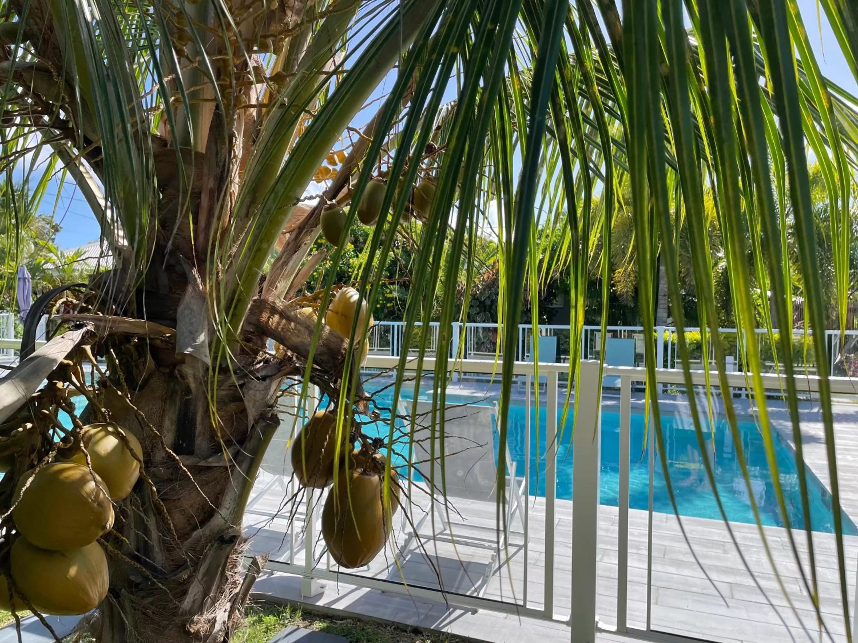 Hôtel & Villa Le Cocotel