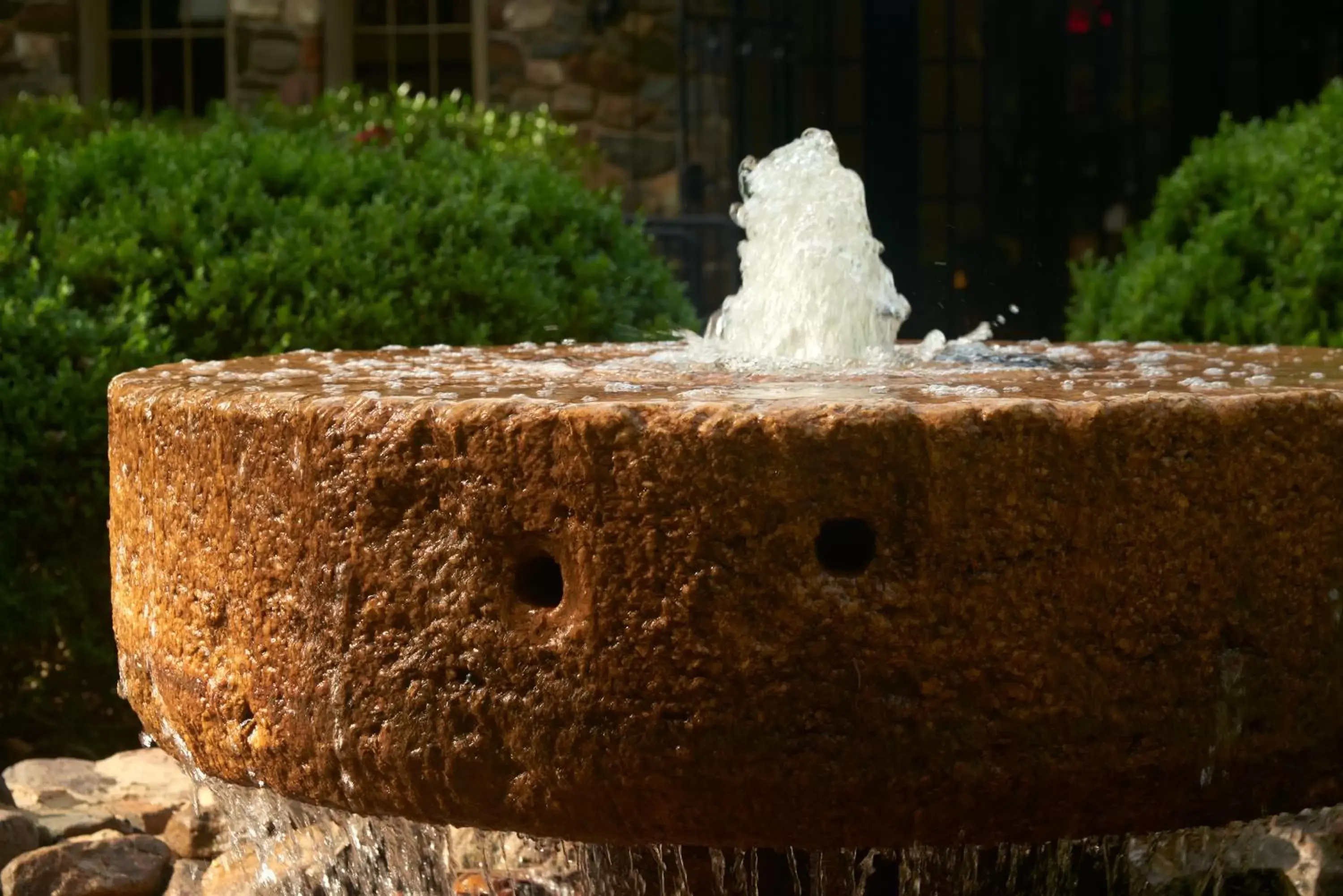 Decorative detail in Emory Conference Center Hotel