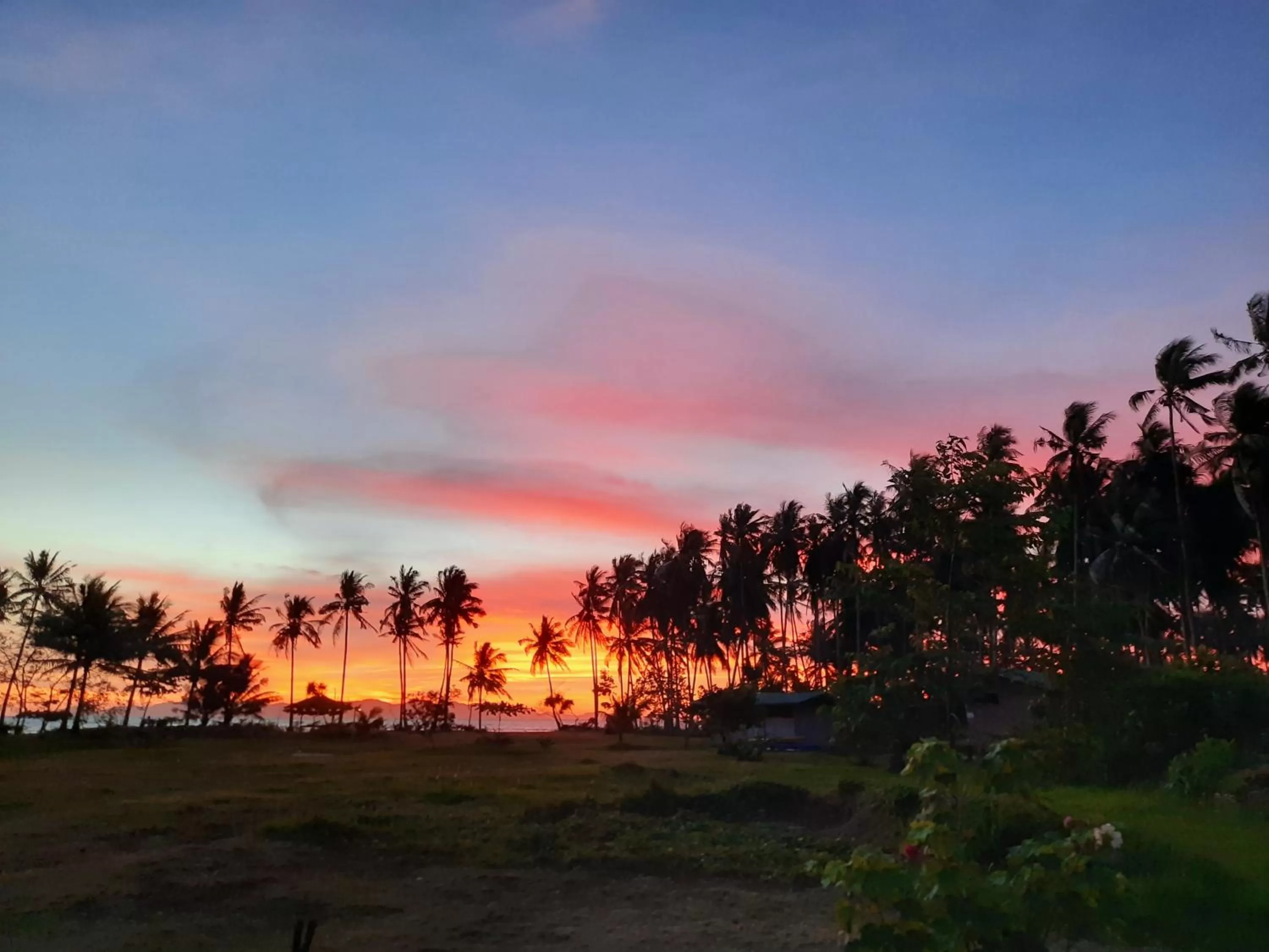 Natural landscape in Eastwind Beach Club- El Nido