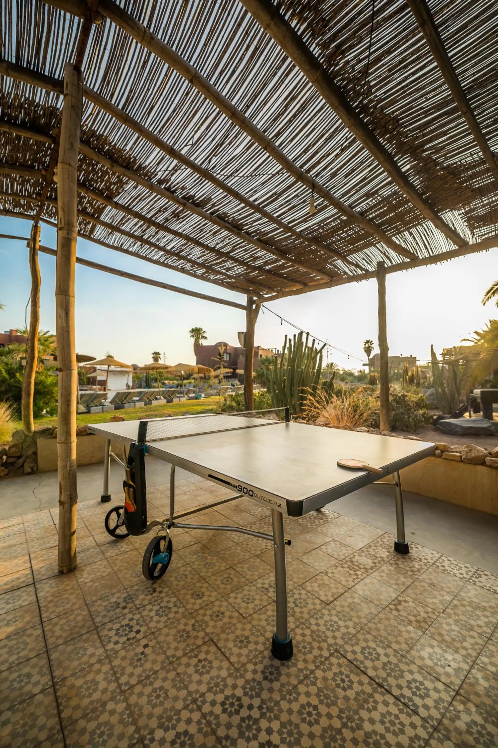 Table tennis in Fellah Hotel