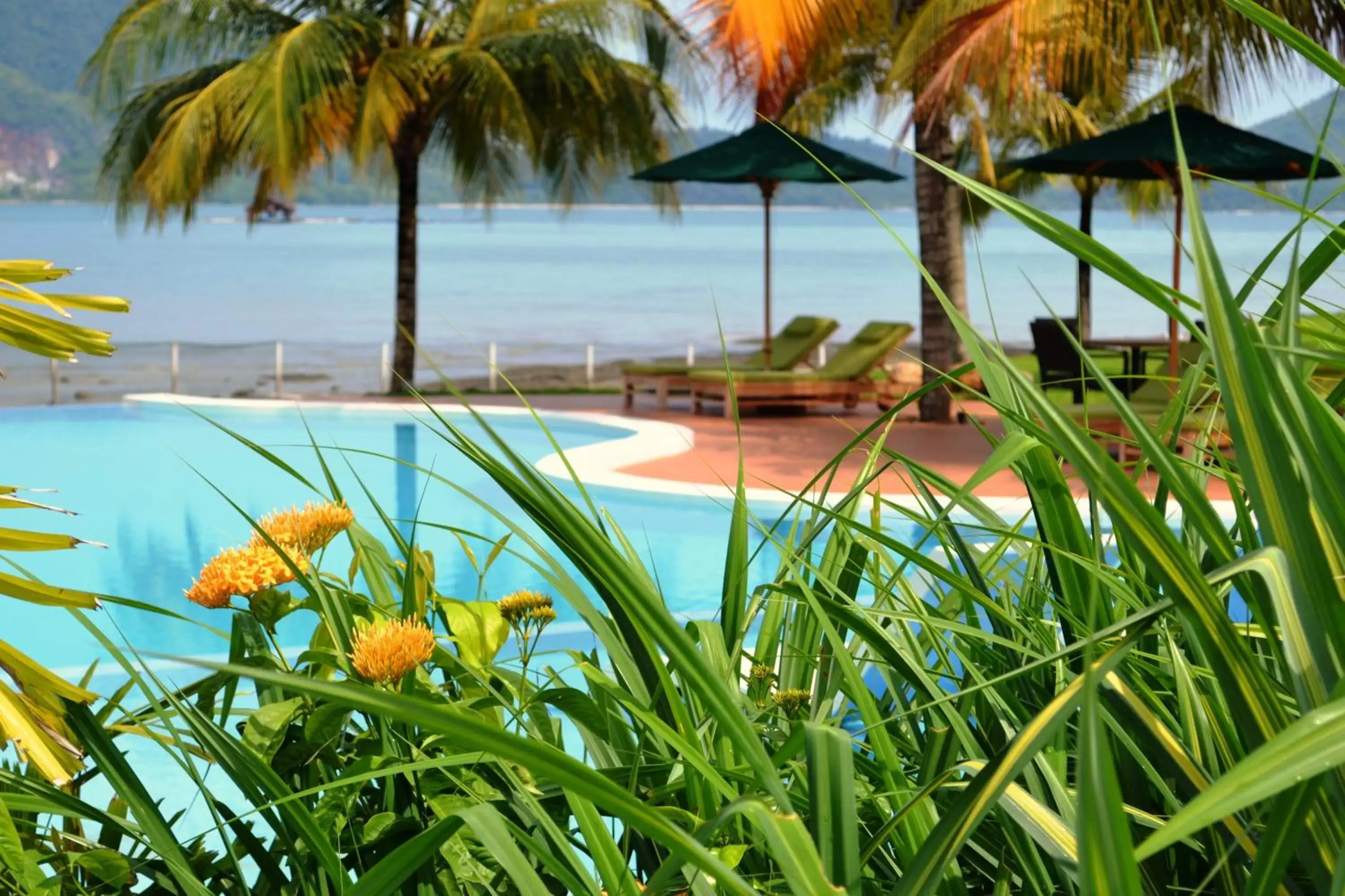 Decorative detail, Swimming Pool in The Ocean Residence Langkawi