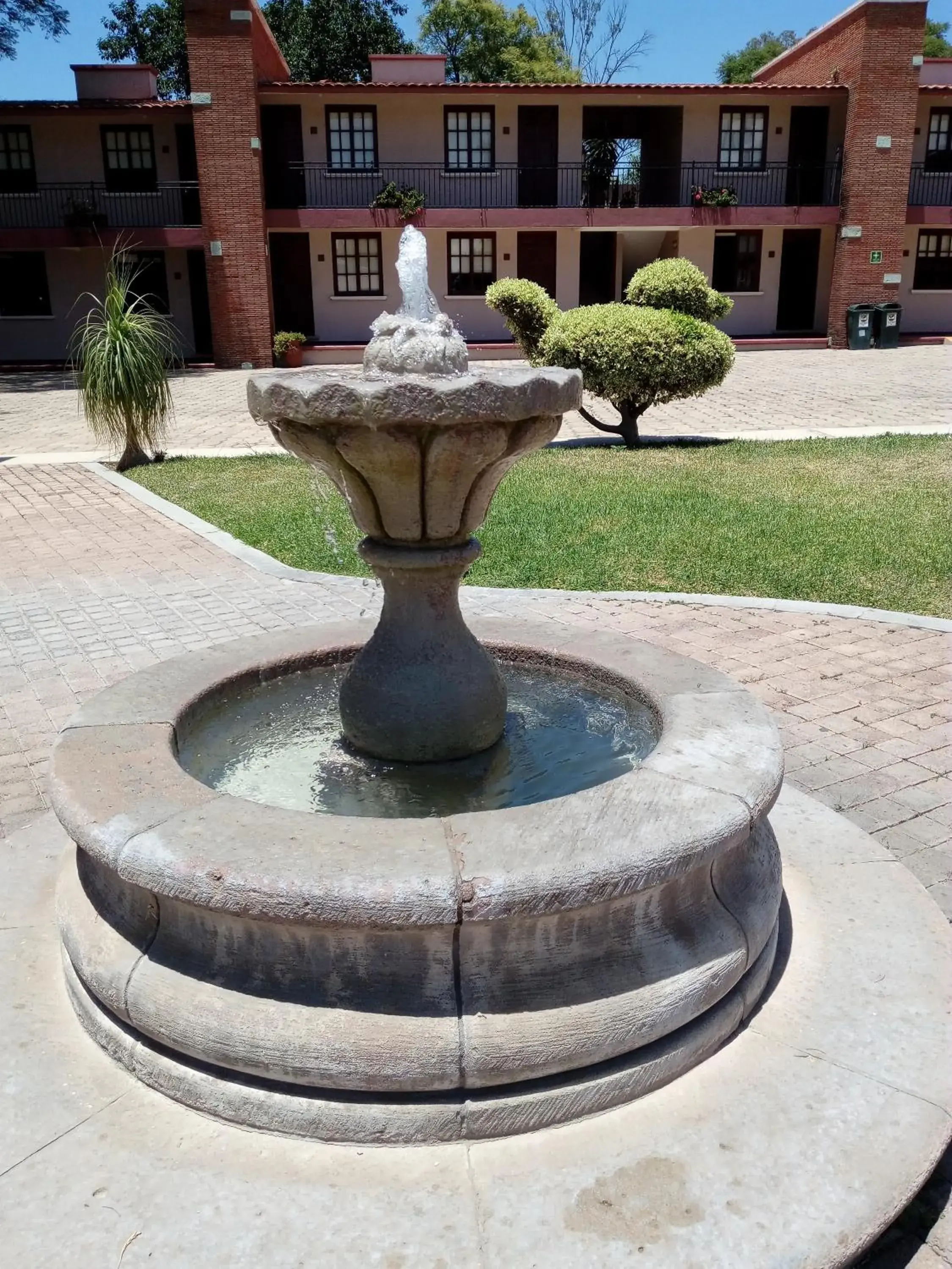 Garden in Villas del Sol Hotel & Bungalows