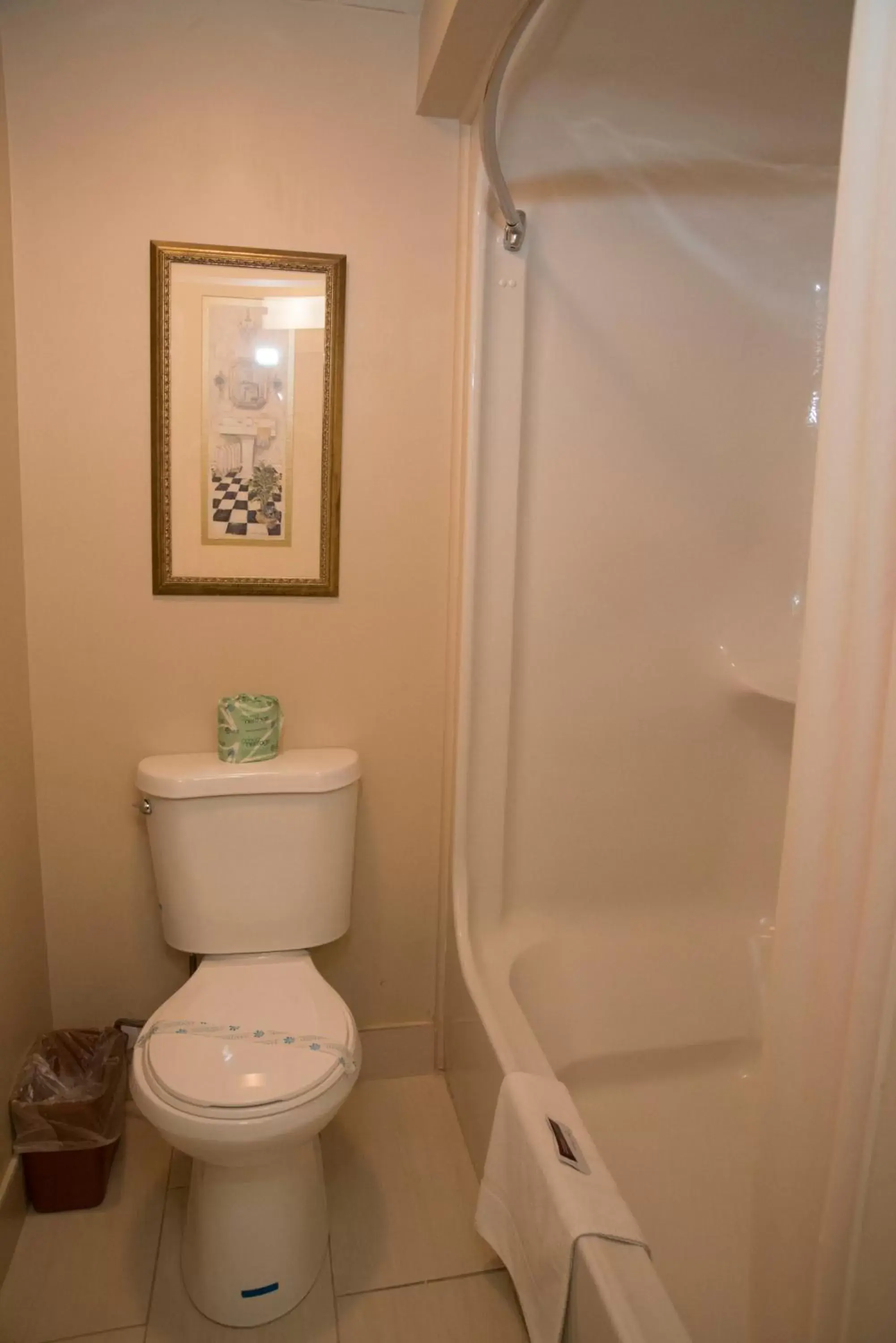 Toilet, Bathroom in Hampton Falls Inn
