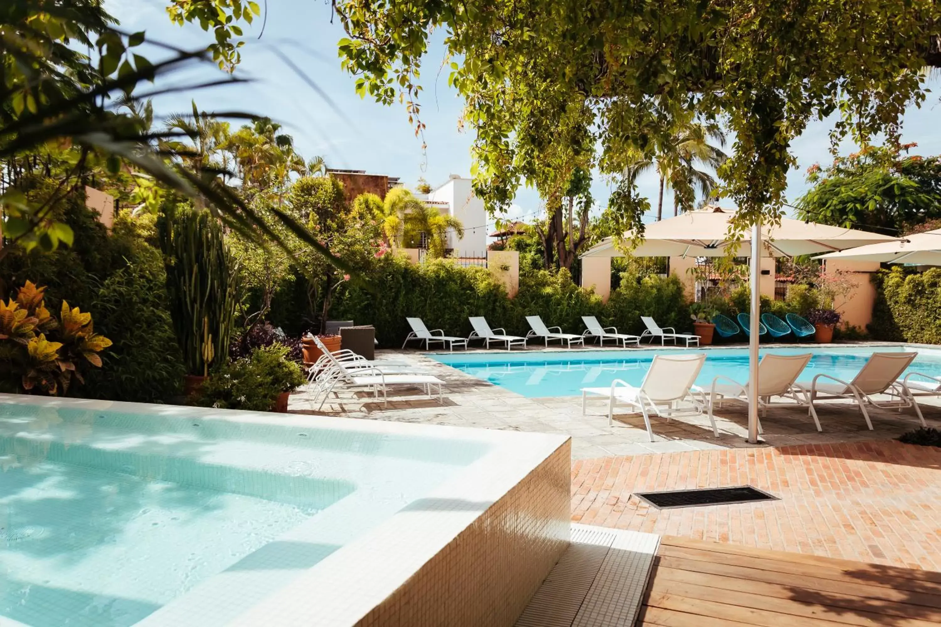 Garden, Swimming Pool in San Trópico Boutique Hotel & Peaceful Escape