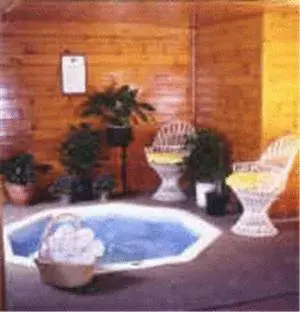 Spa and wellness centre/facilities, Swimming Pool in Northern Lights Lodge