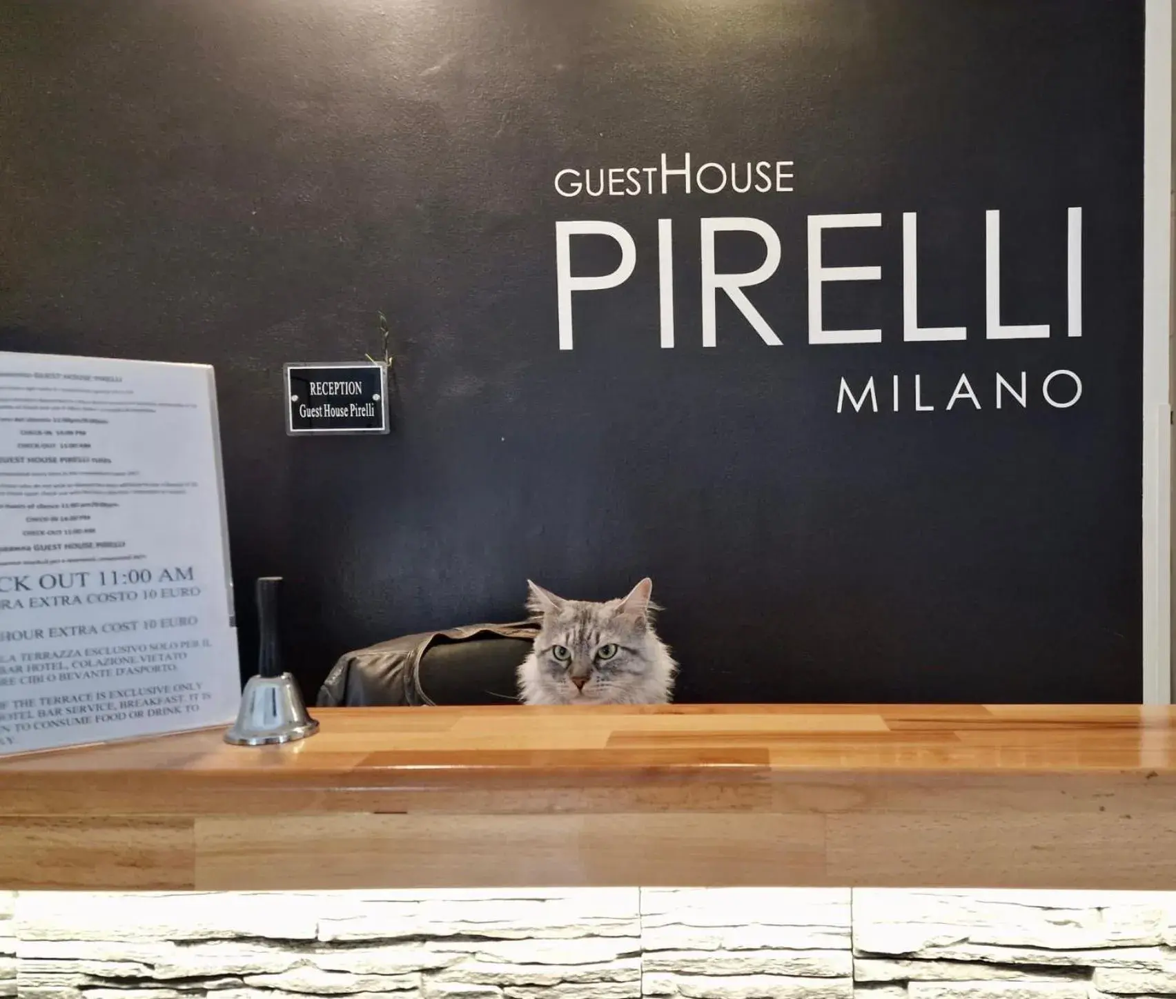 Guest House Pirelli Milano