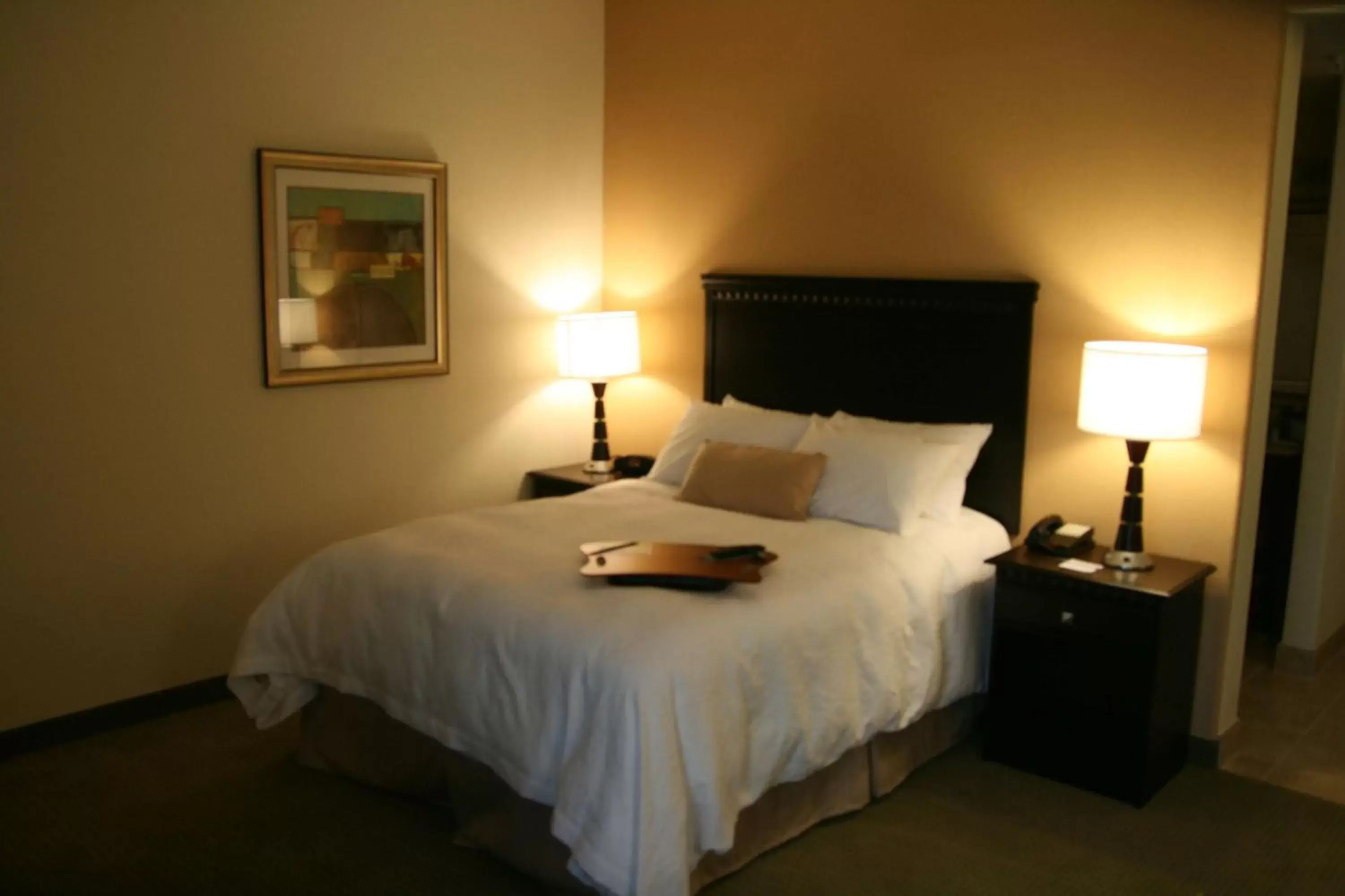 Bed in Hampton Inn La Grange Bed in Hampton Inn La Grange