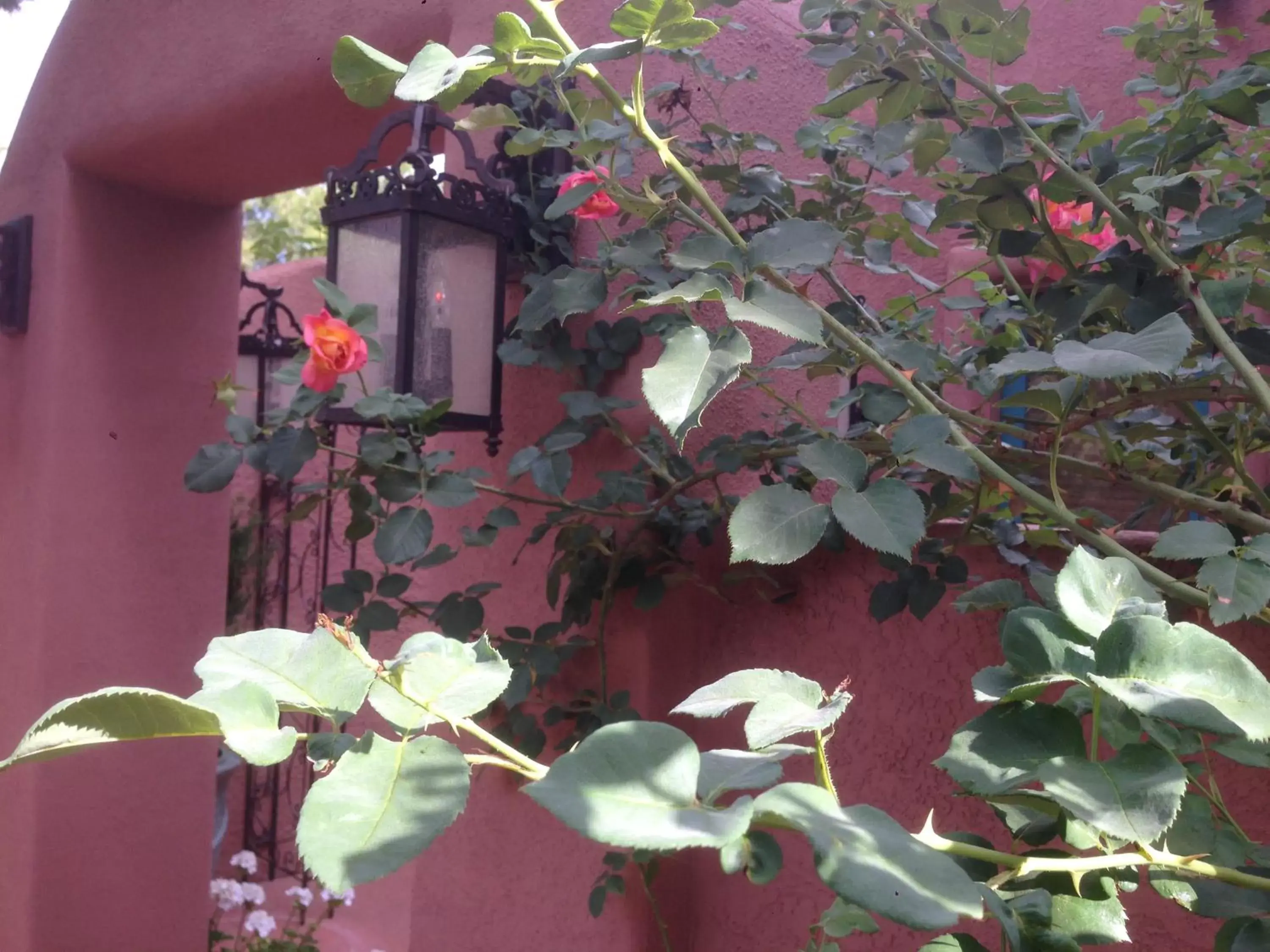 Decorative detail in Casa Sedona Inn