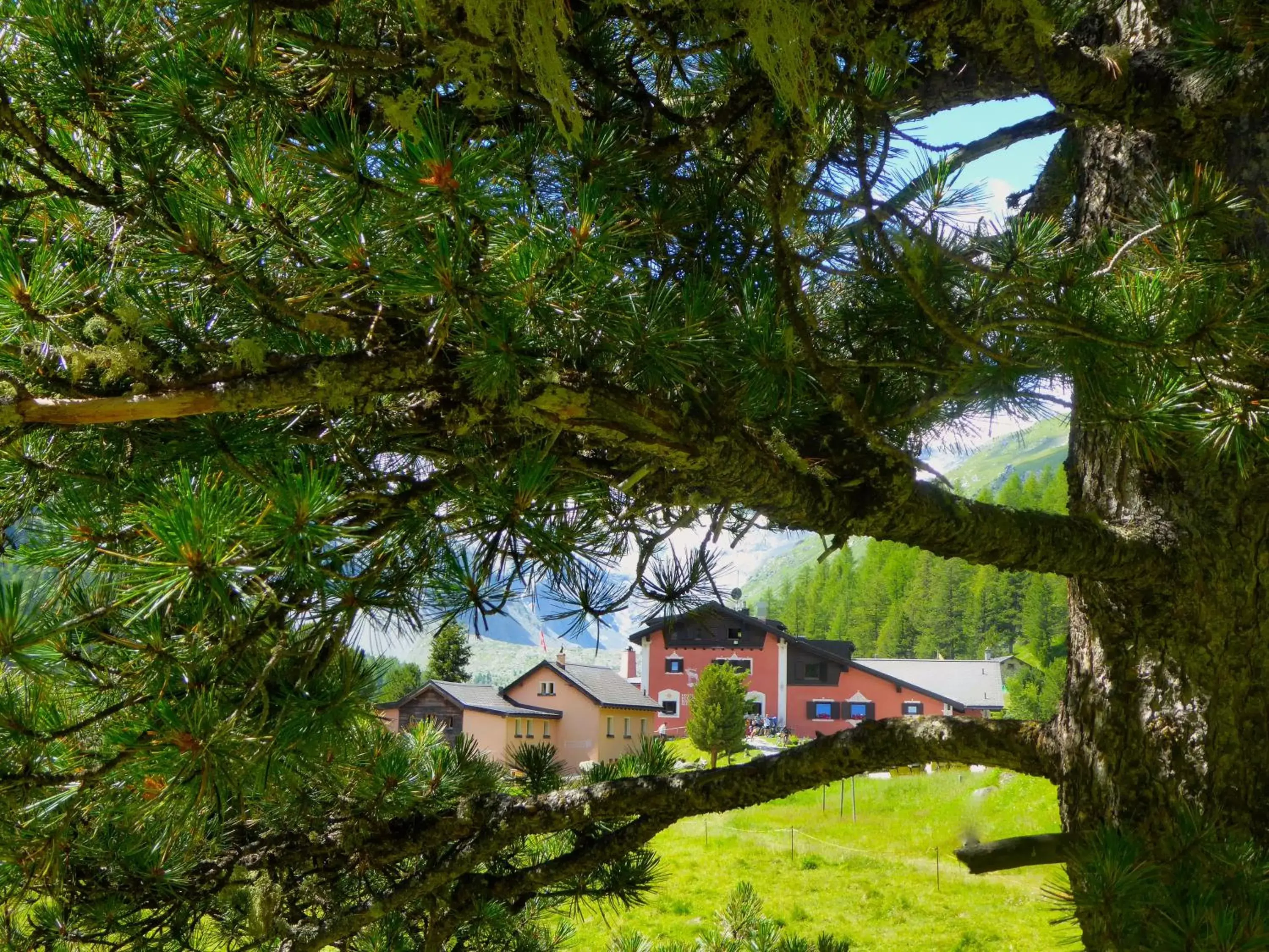 Natural landscape in Hotel Roseg-Gletscher