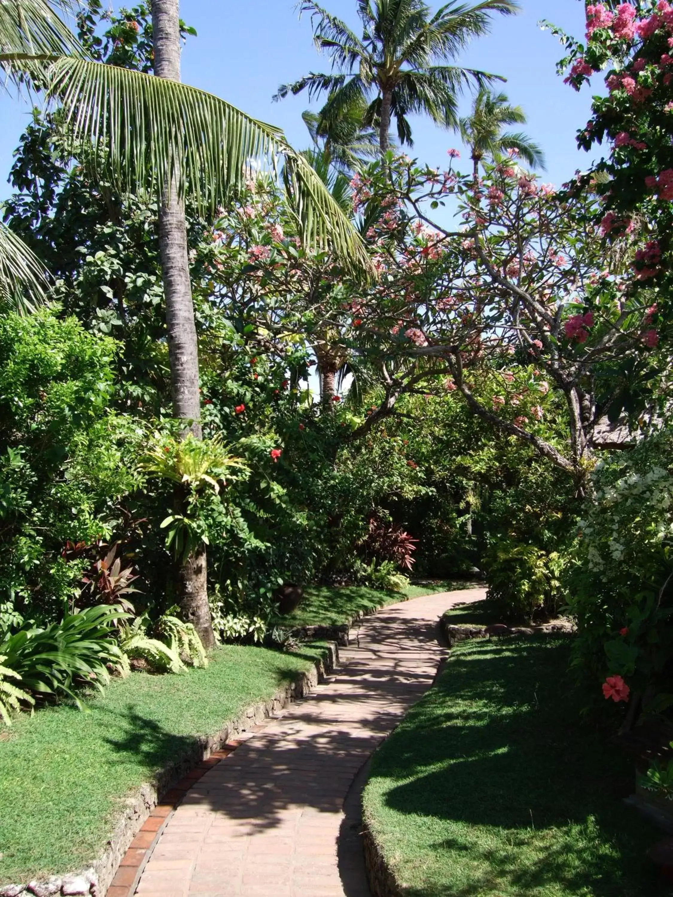 Garden in Poppies Bali