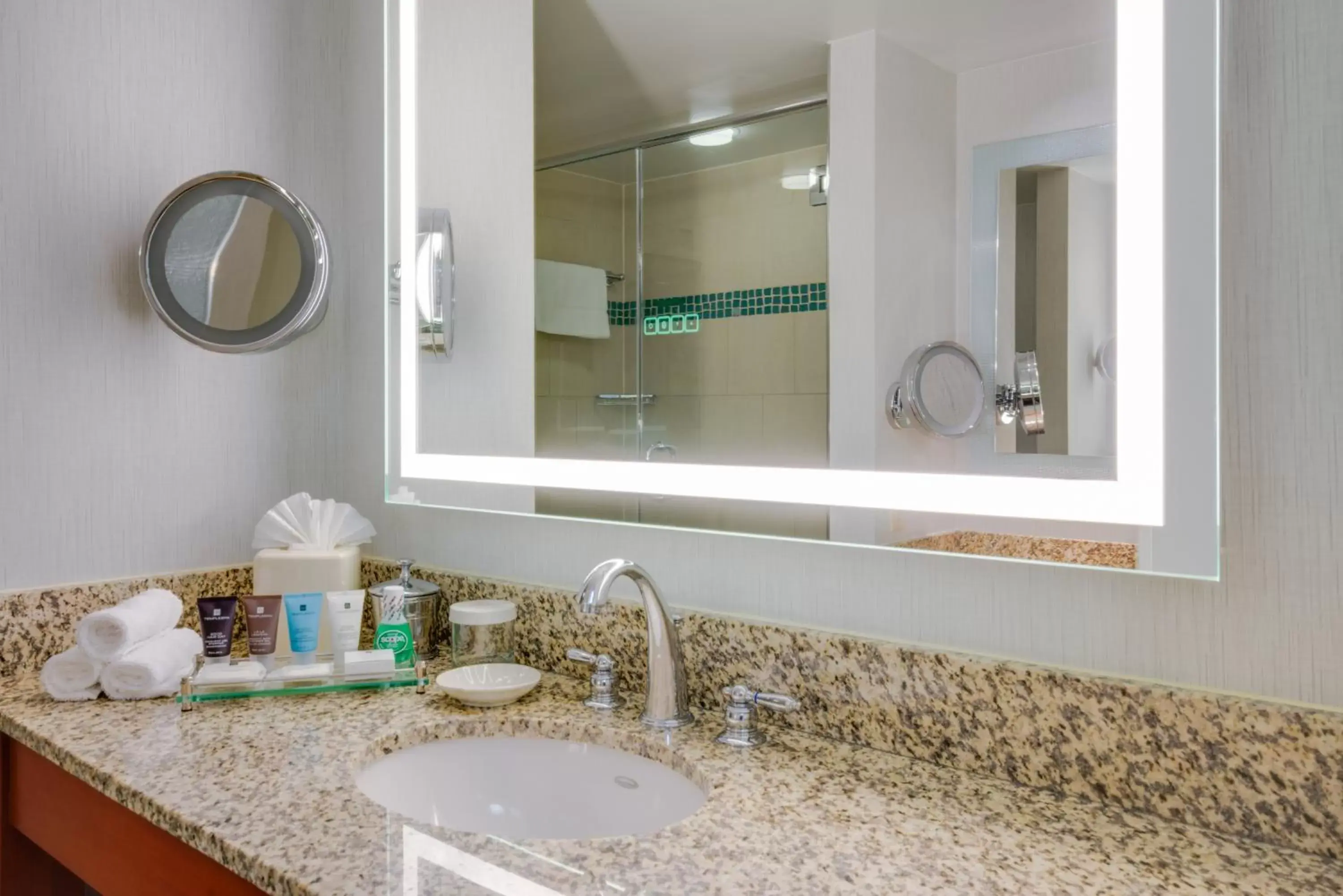 Bedroom, Bathroom in Crowne Plaza Dulles Airport, an IHG Hotel