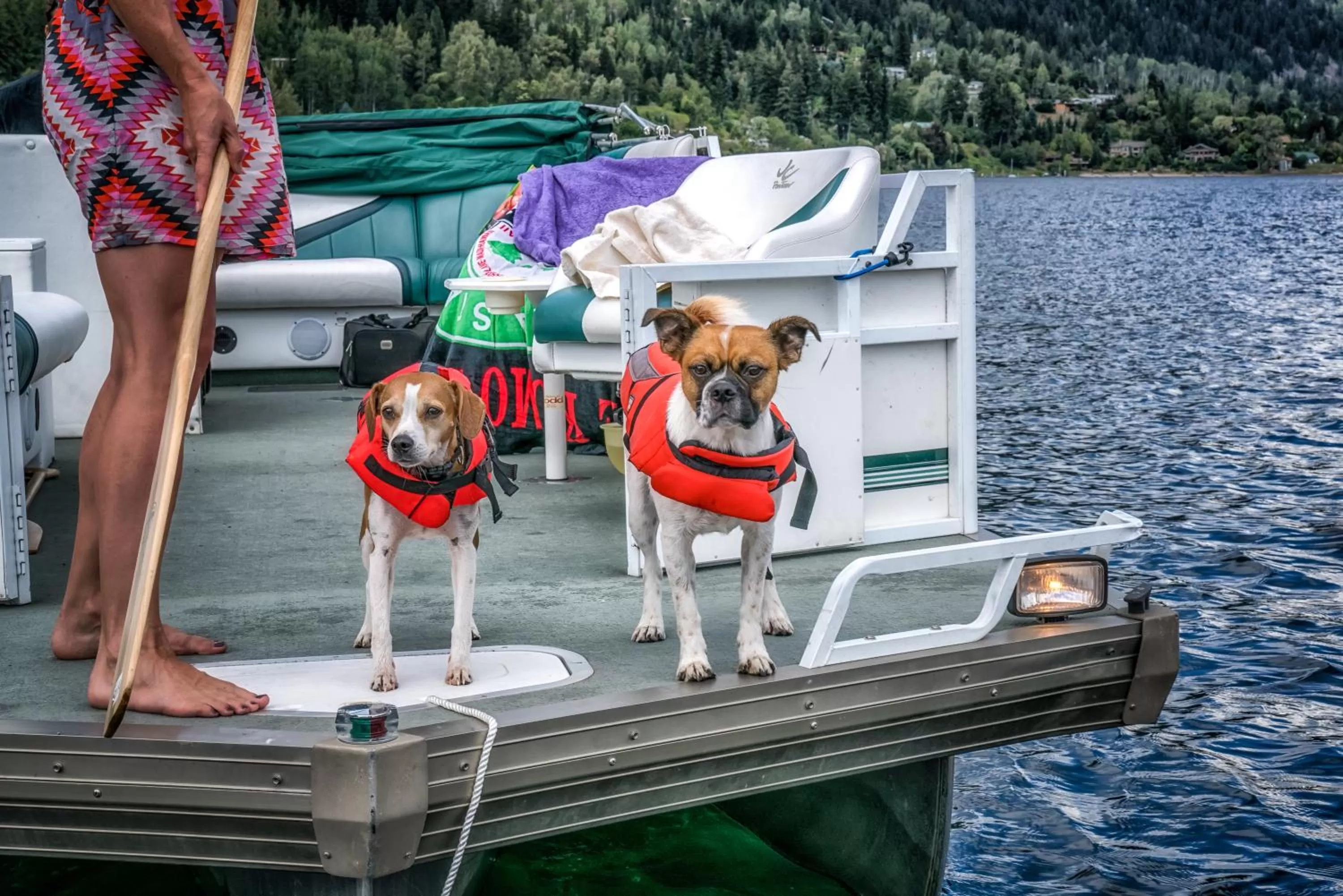 Activities in Prestige Inn Nelson