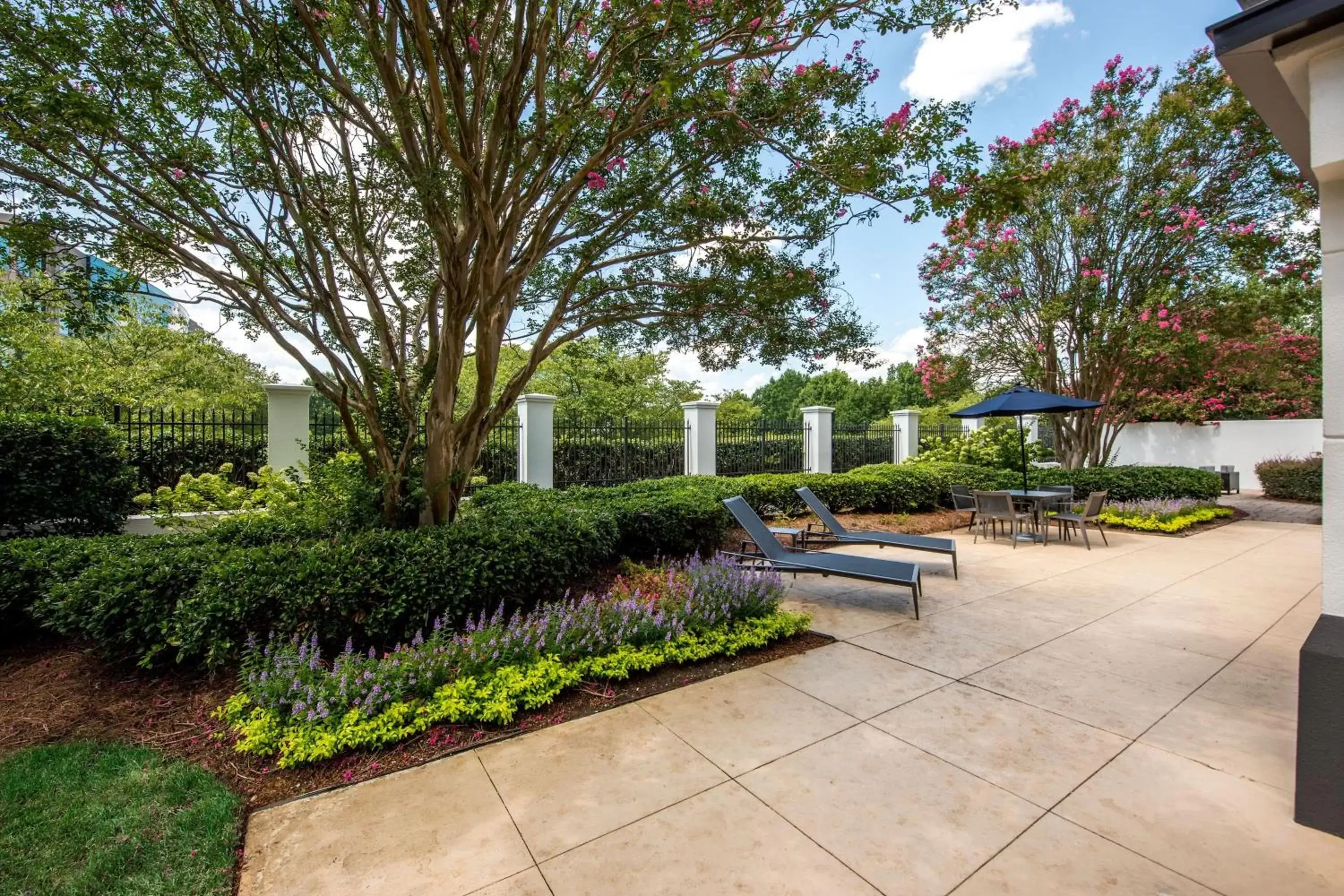 Property building in Courtyard Charlotte Ballantyne-NEWLY RENOVATED