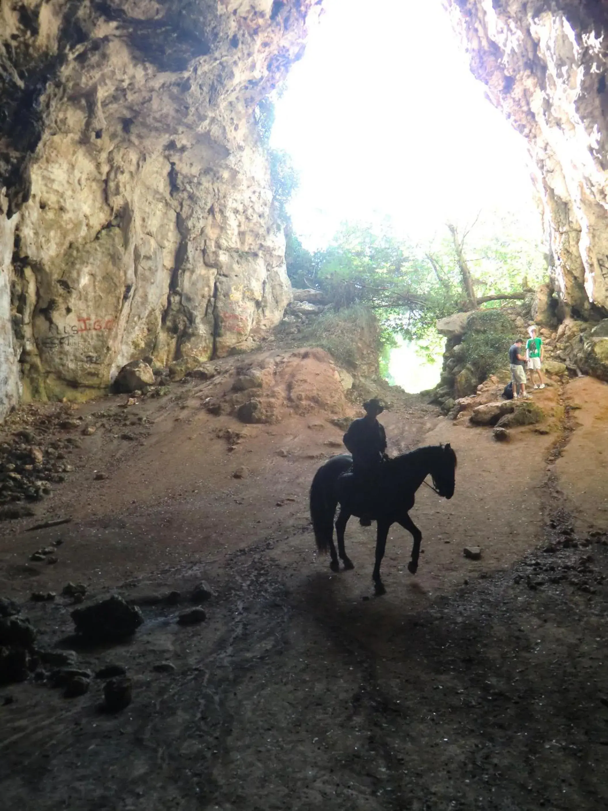 Horse-riding, Other Animals in Hotel Rural Binigaus Vell