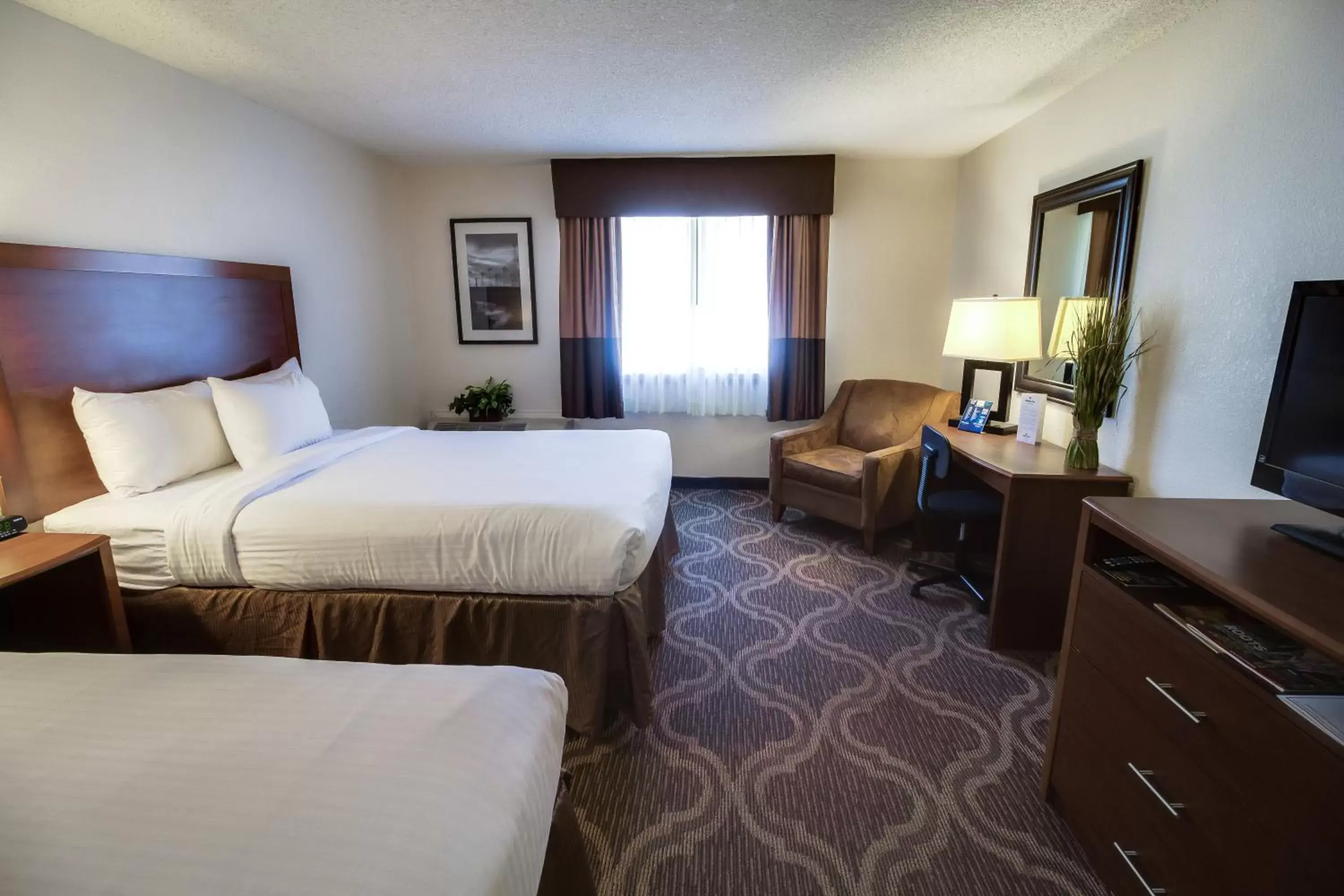 Bedroom in Ashmore Inn and Suites Lubbock