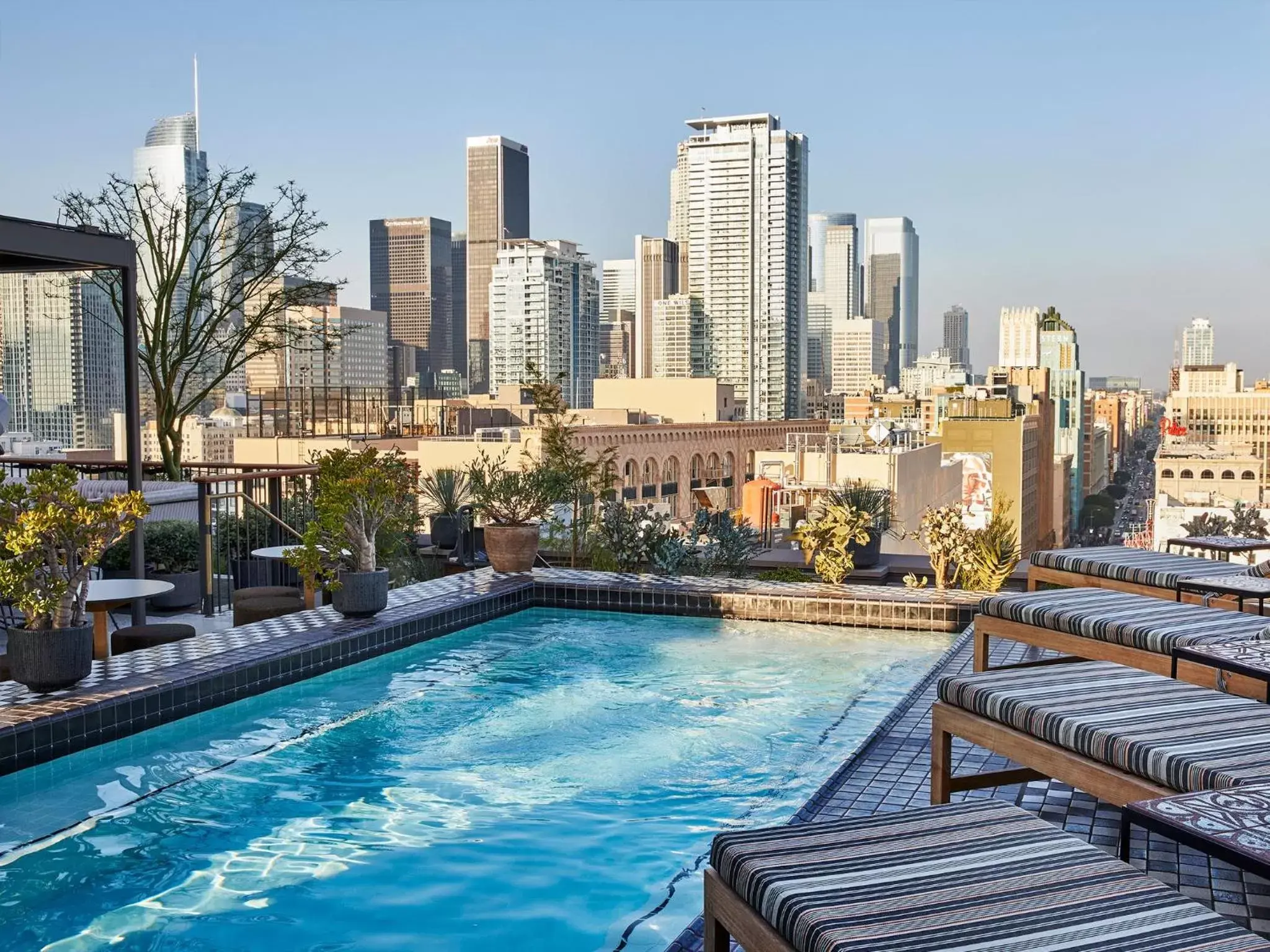 Pool view, Swimming Pool in Downtown Los Angeles Proper Hotel, a Member of Design Hotels