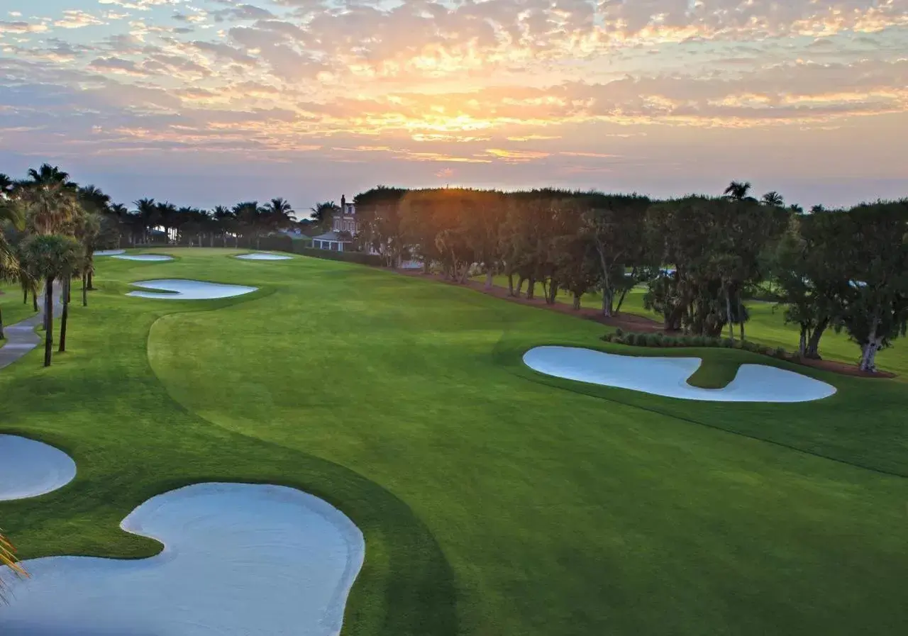 Neighbourhood, Golf in Hemingway Suites at Palm Beach Hotel Island