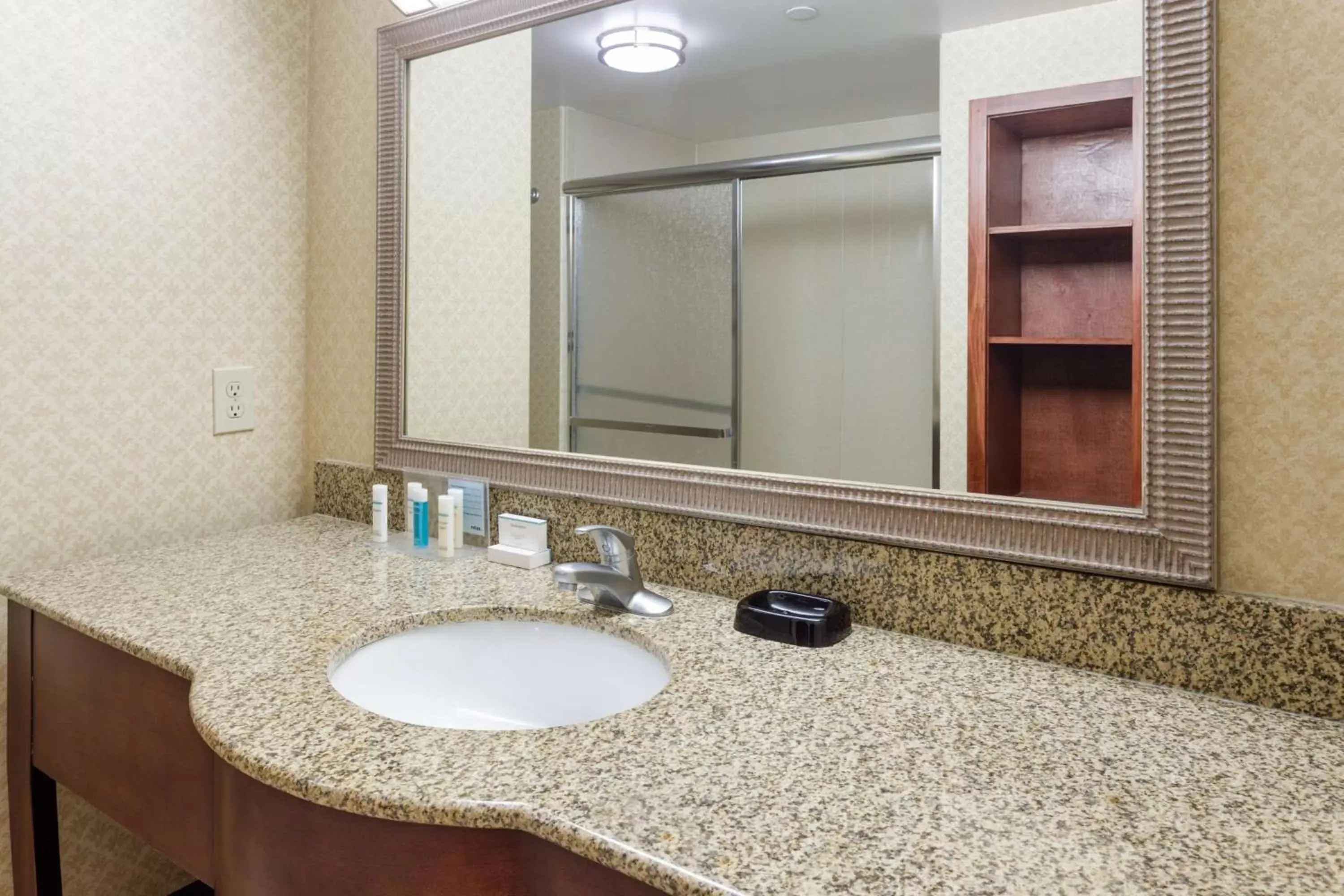 Bathroom in Hampton Inn Moss Point