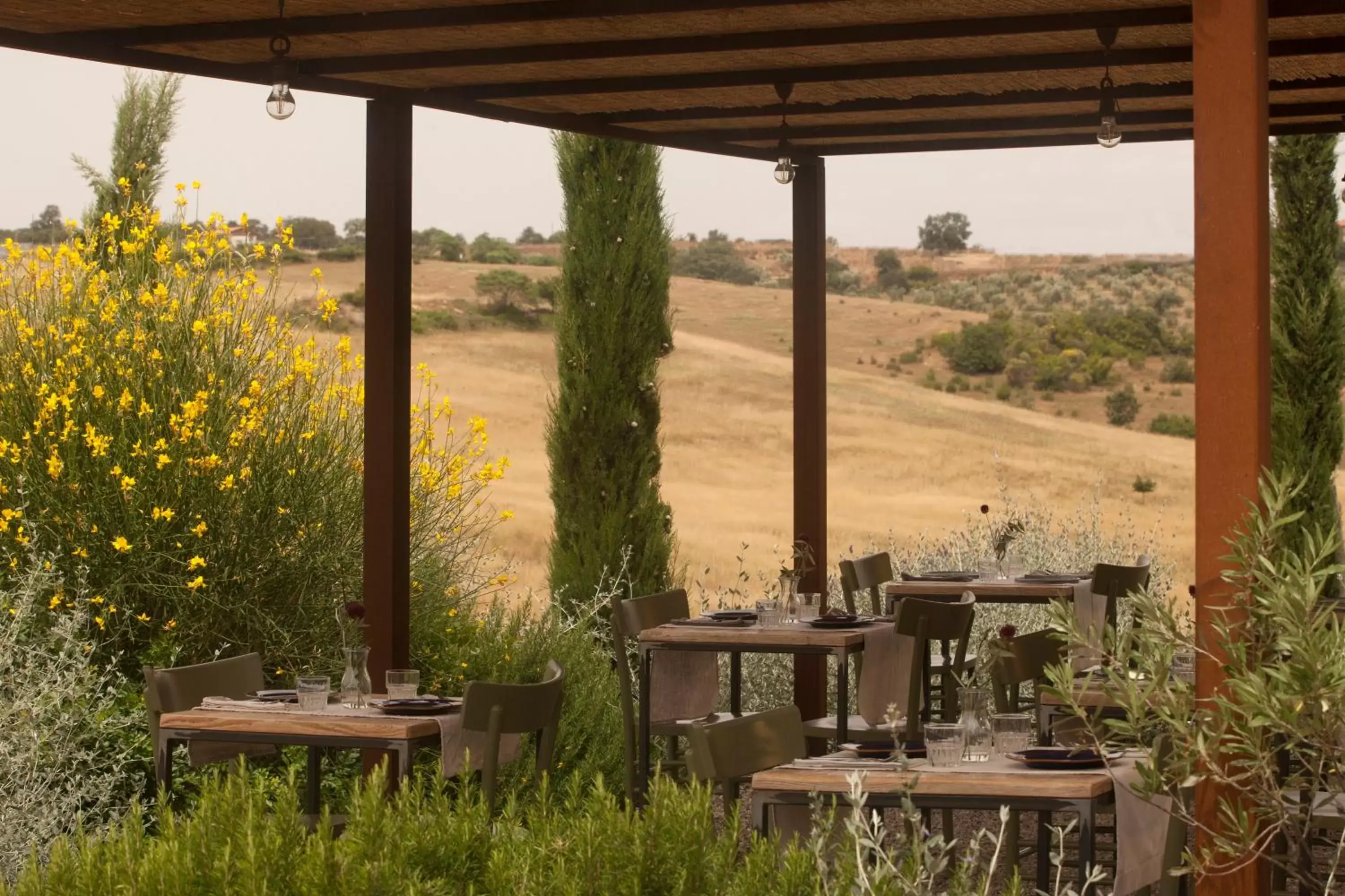 Natural landscape, Restaurant/Places to Eat in Casale Sterpeti