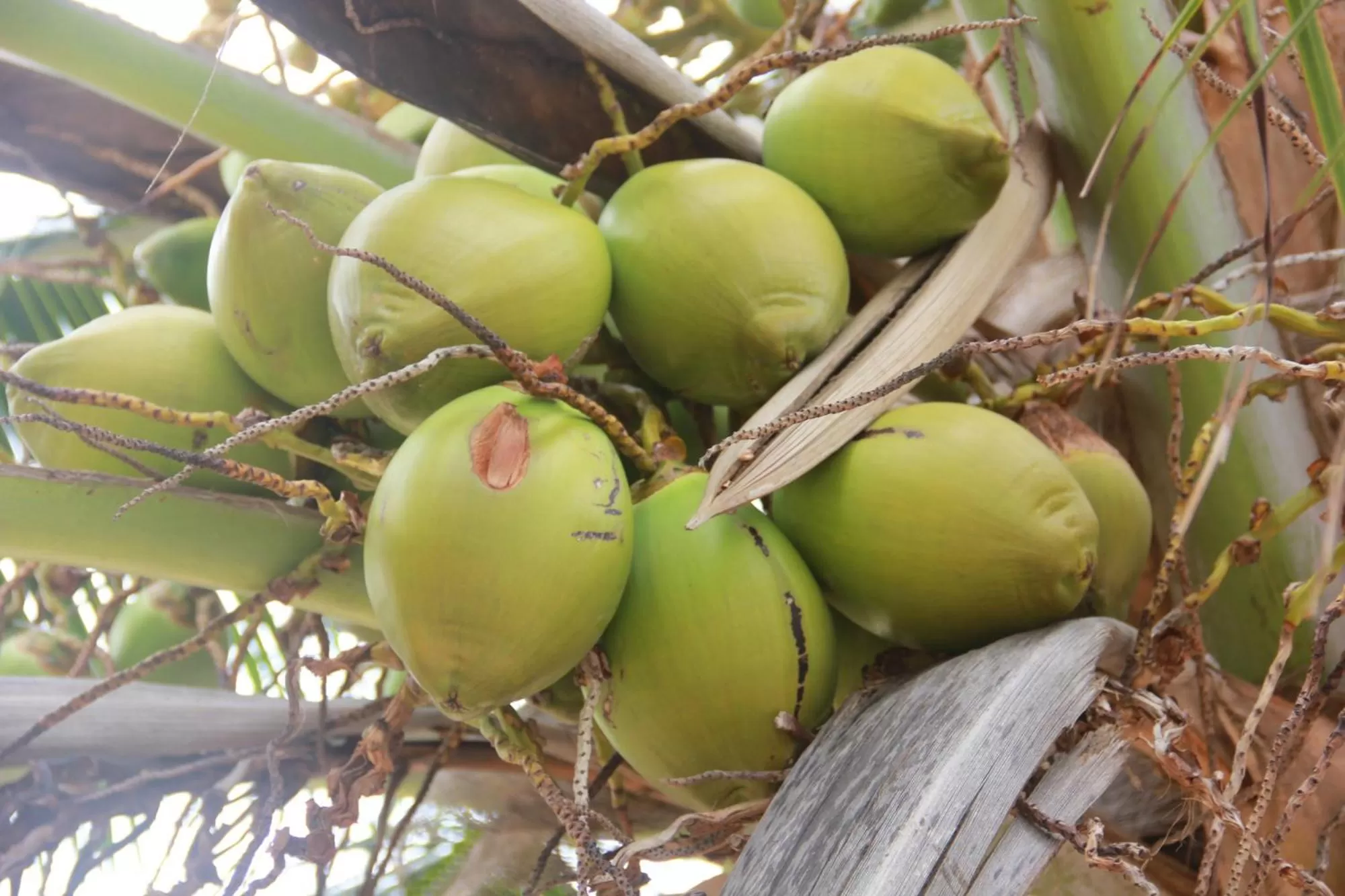 Other in Sun Creek Lodge