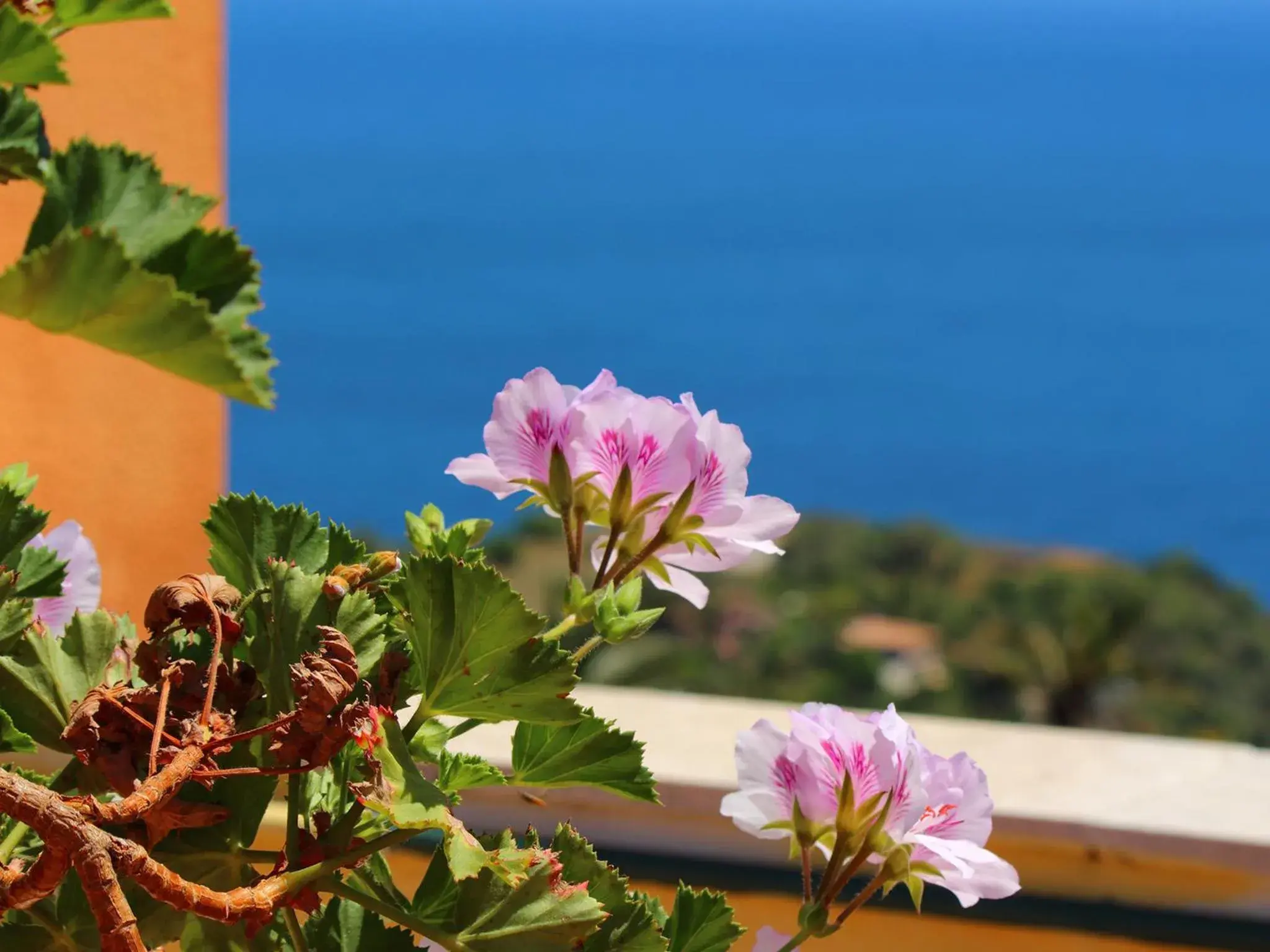 Sea view in InnPiero