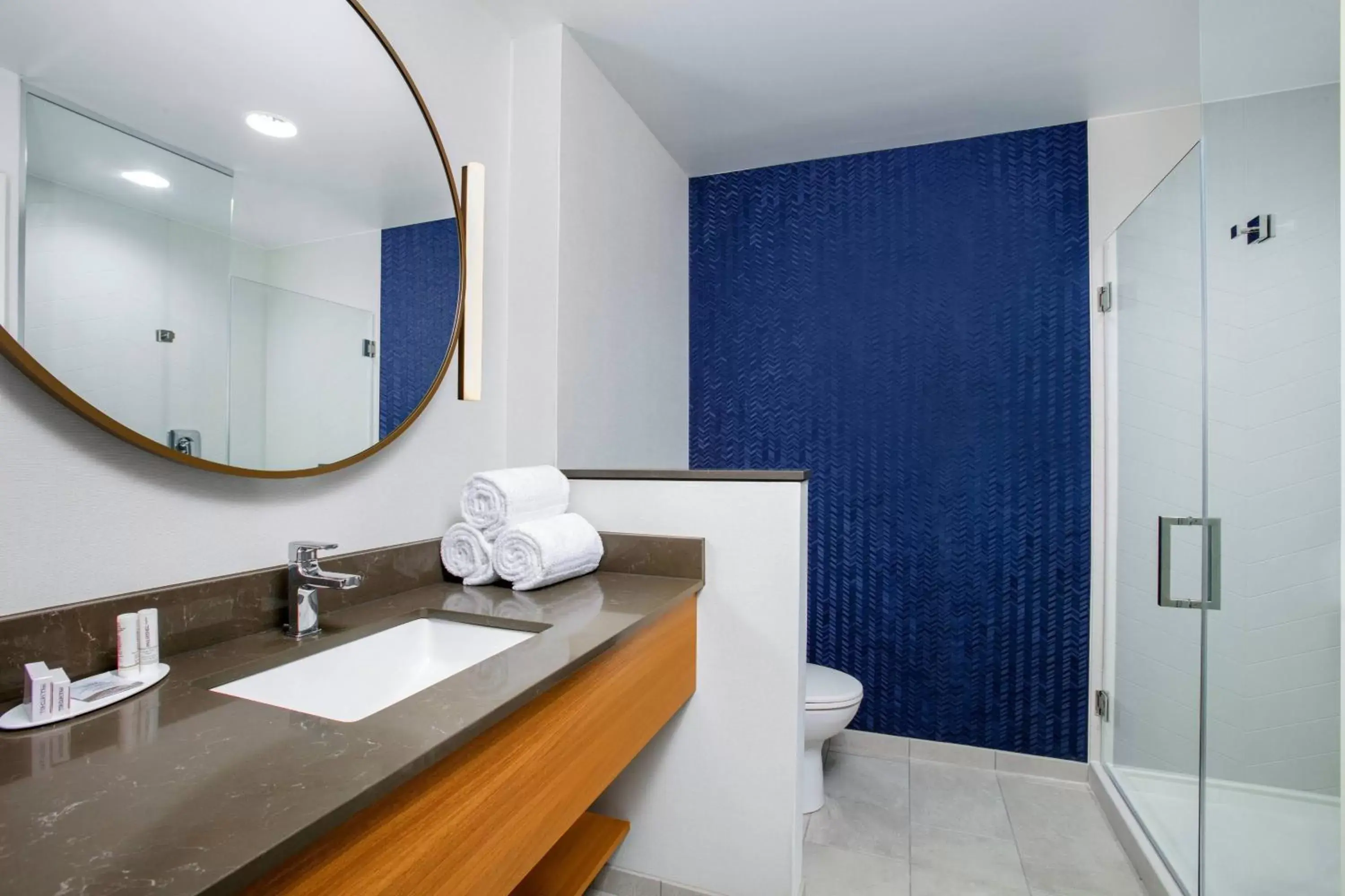 Bathroom in Fairfield by Marriott Inn & Suites Harrisburg West/Mechanicsburg