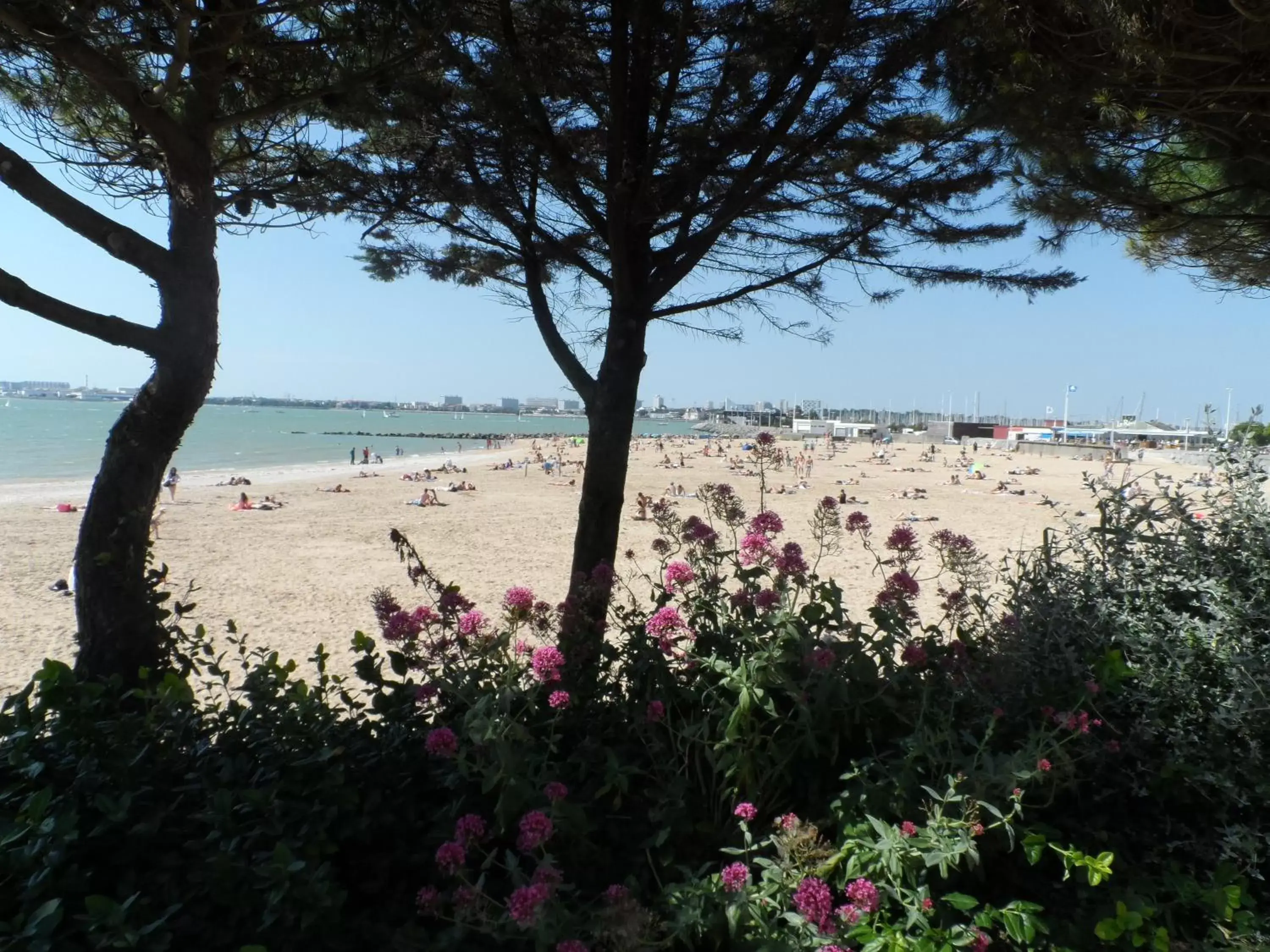 Beach in Résidence New Rochelle