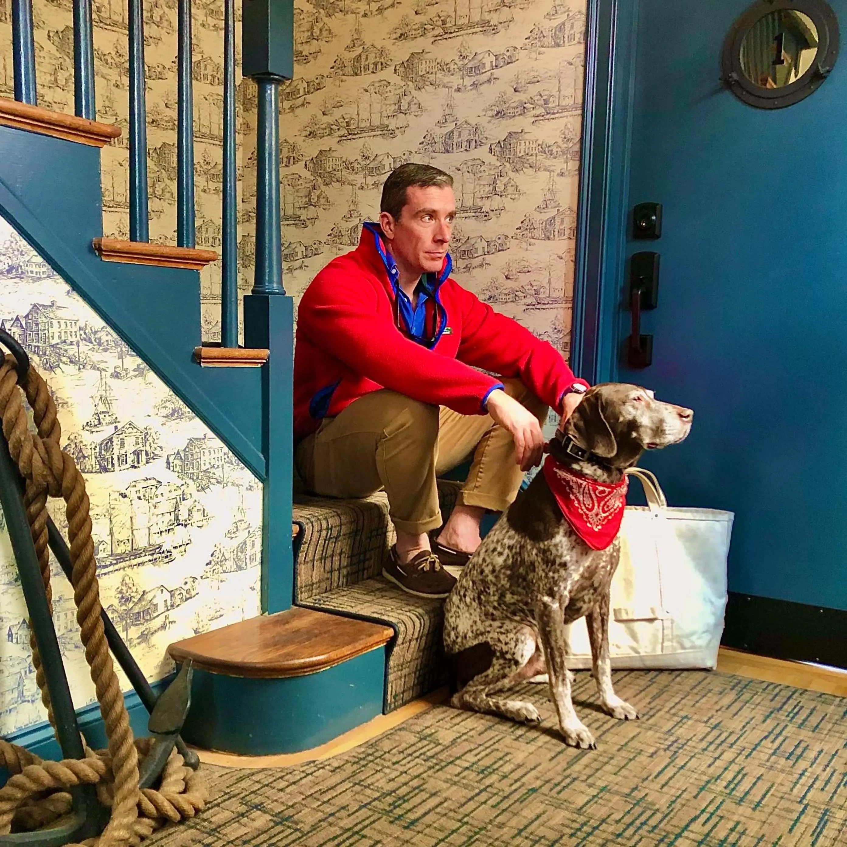 Pets in GREAT ISLAND INN - A Modern Boutique Hotel