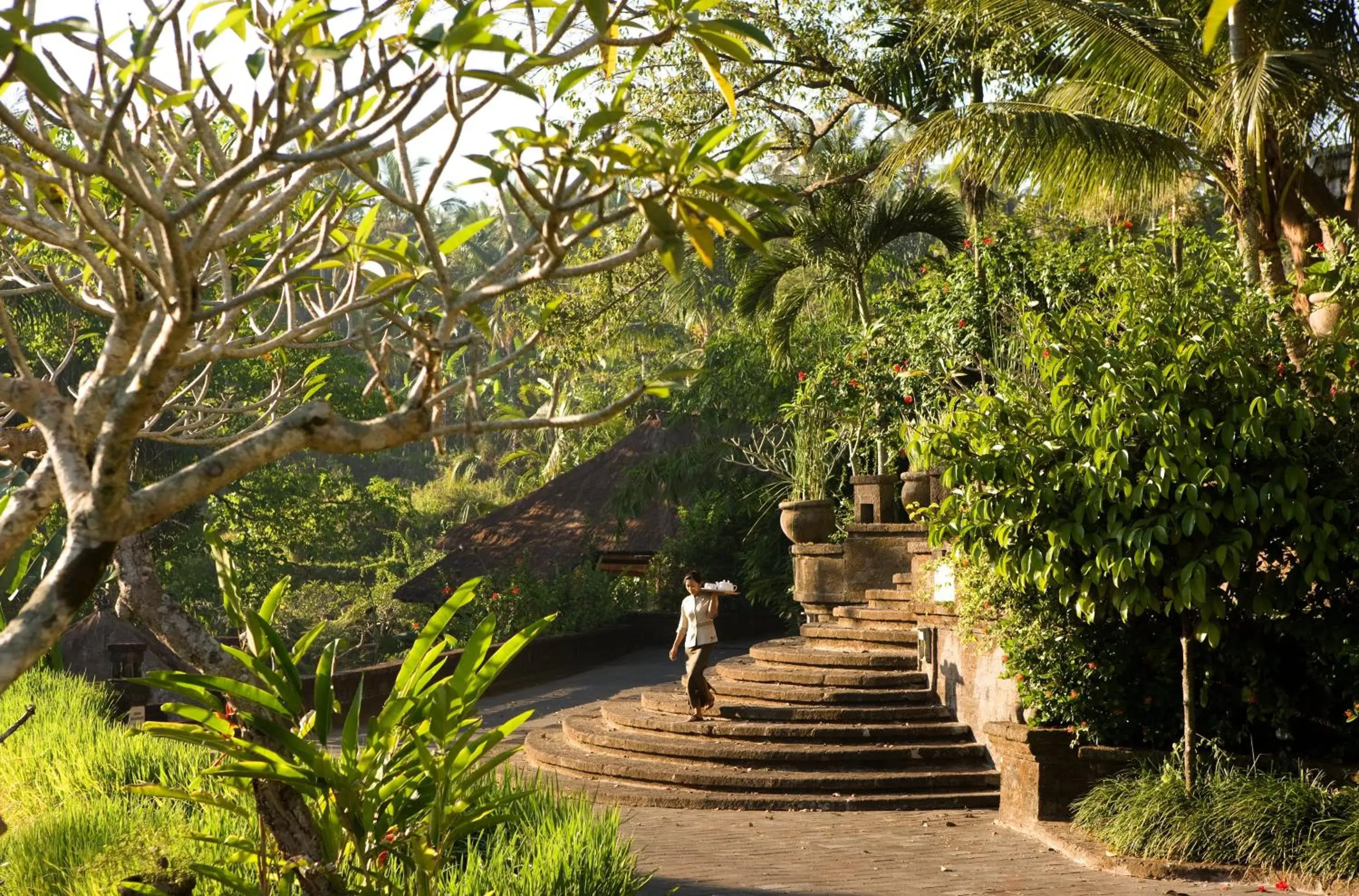 Garden in The Payogan Villa Resort and Spa