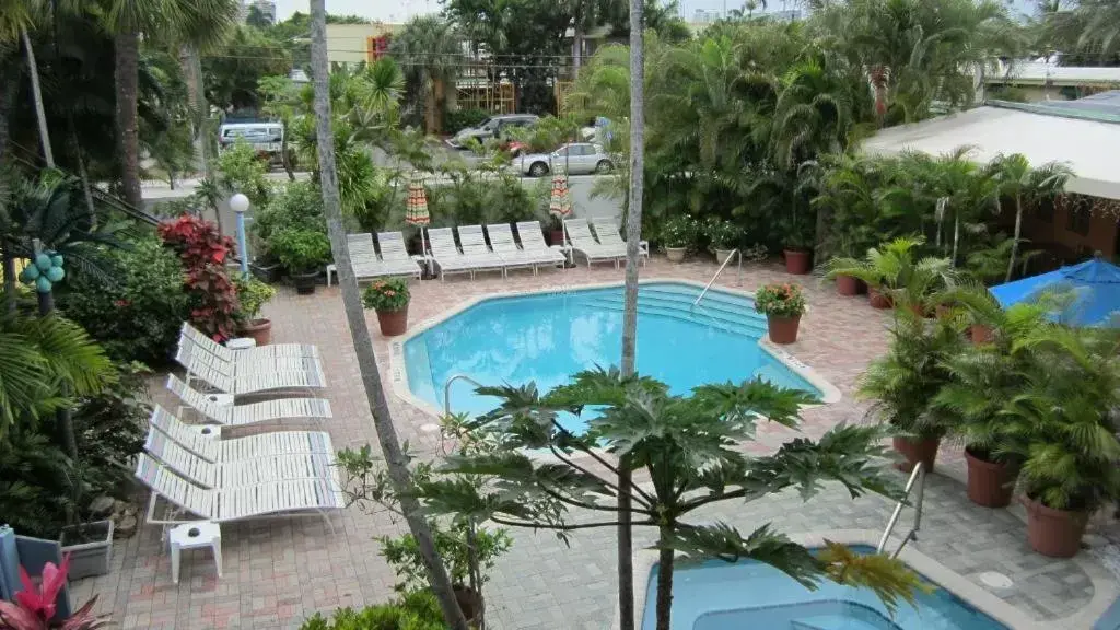 Swimming pool, Pool View in Victoria Park Hotel