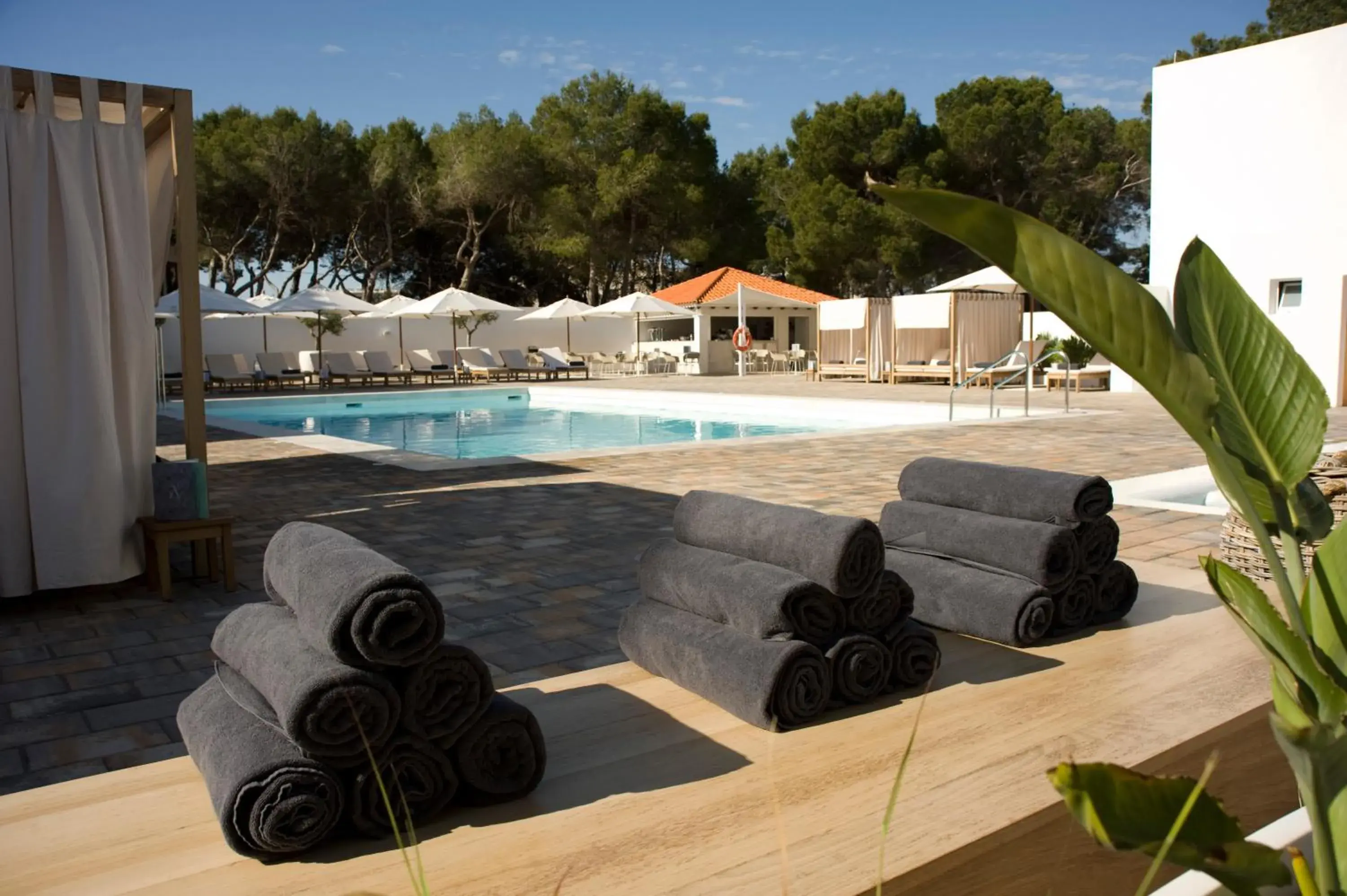 Swimming Pool in Hotel Anfora Ibiza