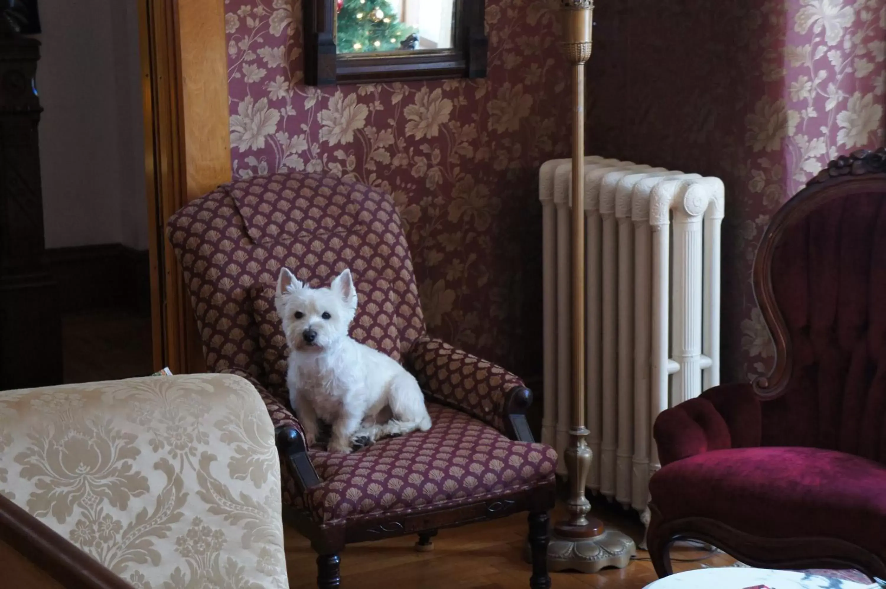 Seating Area in Maplecroft Bed & Breakfast