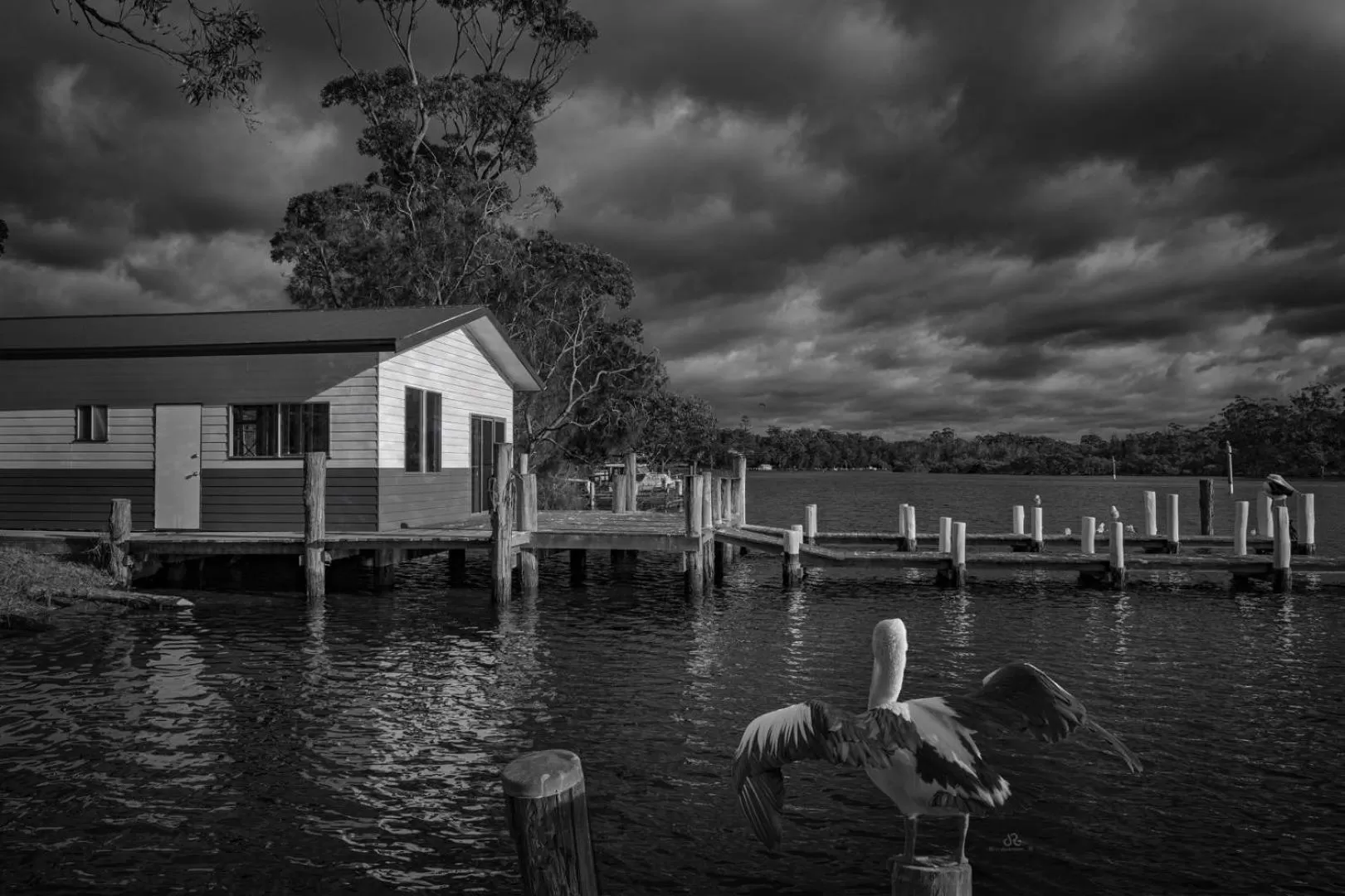 Peace Resorts - Jervis Bay Holiday Cabins in Sussex Inlet