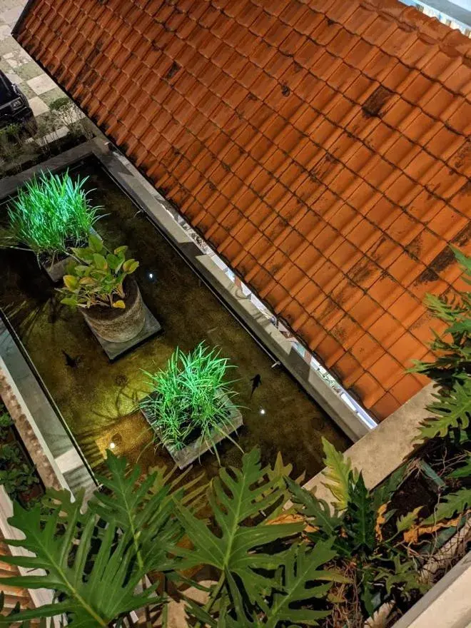 Bird's eye view, Pool View in Villa Damar