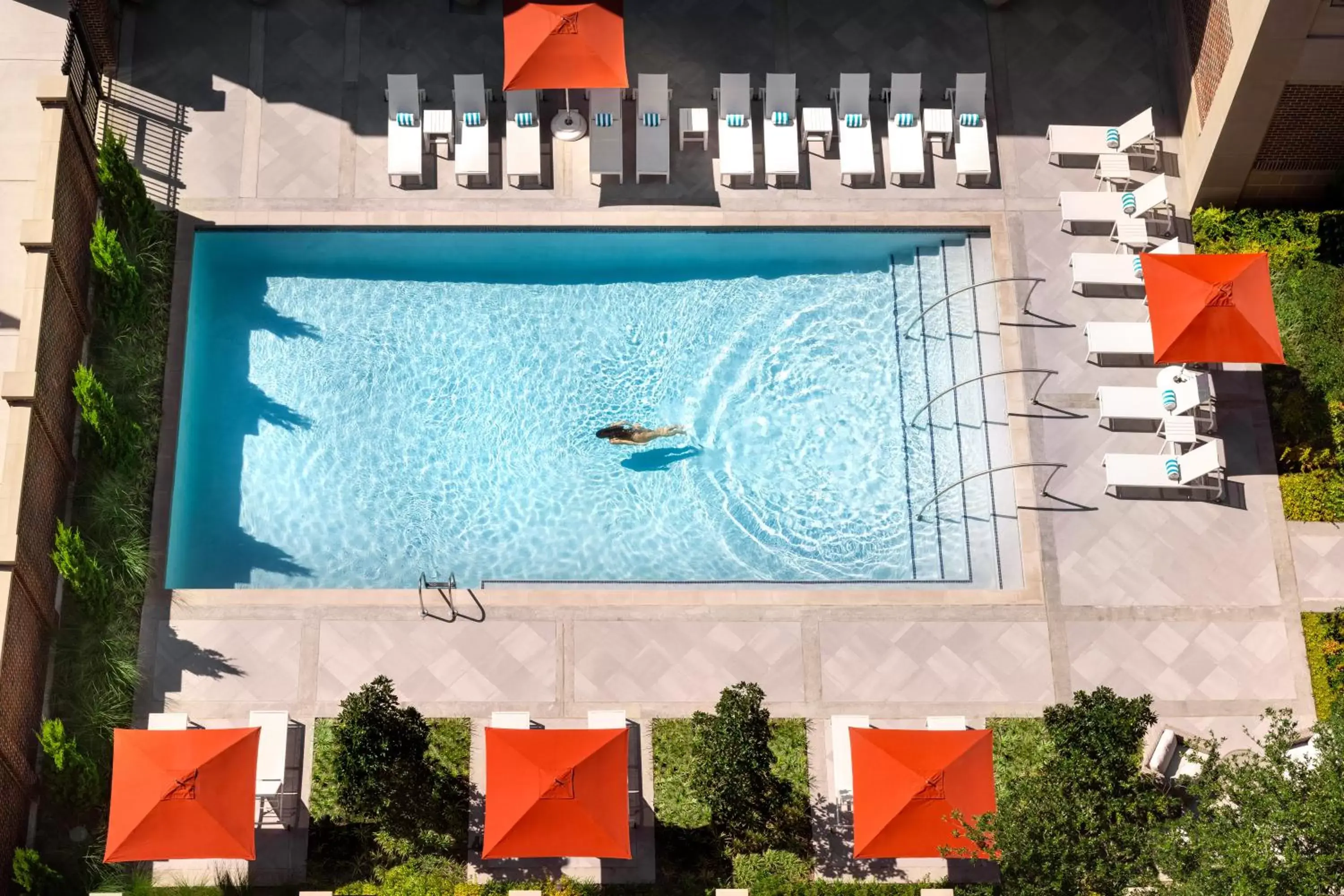 Swimming pool, Pool View in Warwick Melrose Hotel