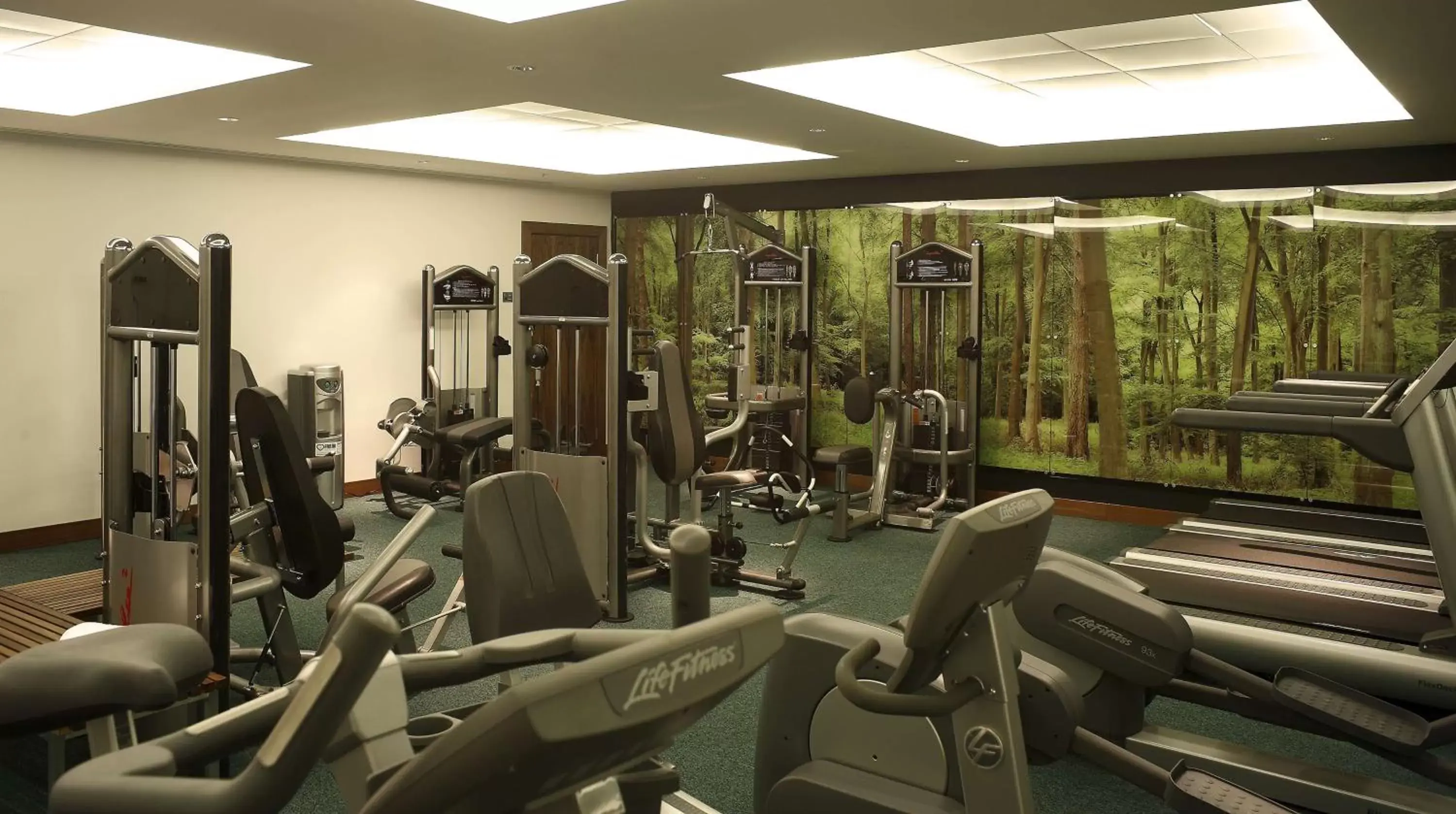 Spa and wellness centre/facilities, Fitness Center/Facilities in Park Plaza County Hall London