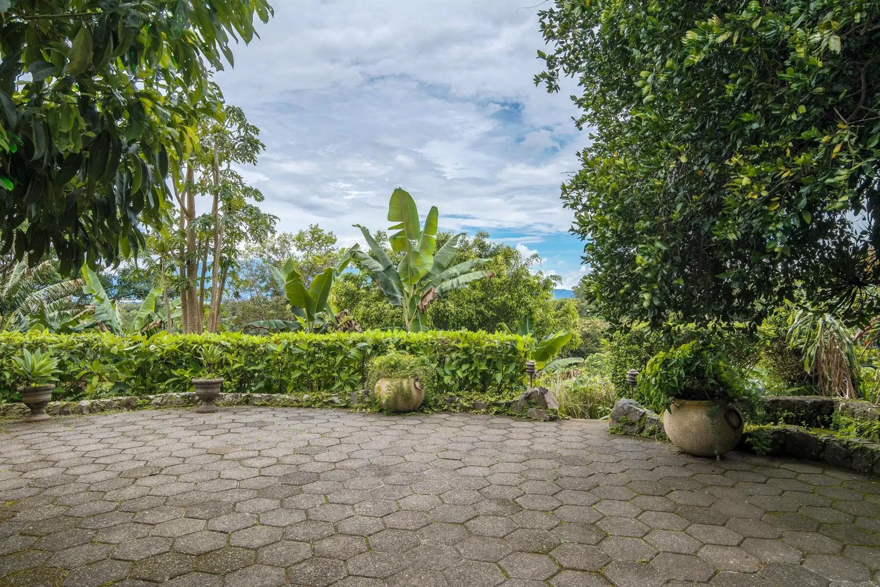 Garden in Finca Rosa Blanca Coffee Farm and Inn