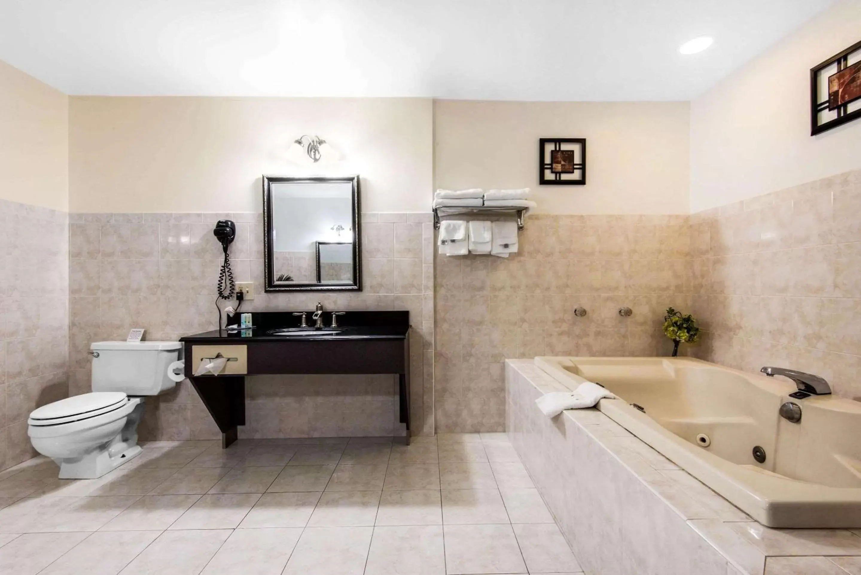 Bathroom in Quality Inn Niagara Falls